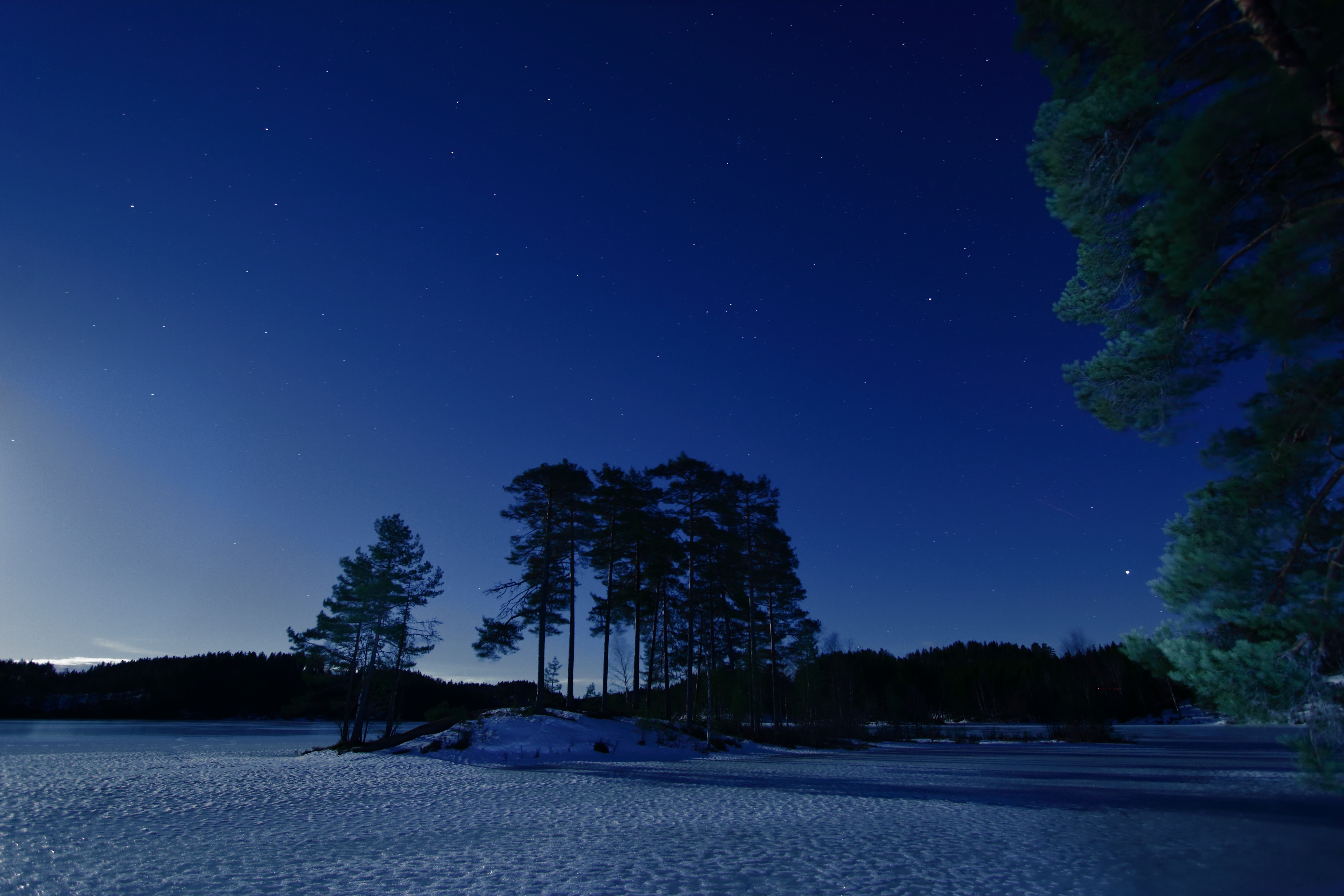 night, snow, twilight, trees Free HD pic