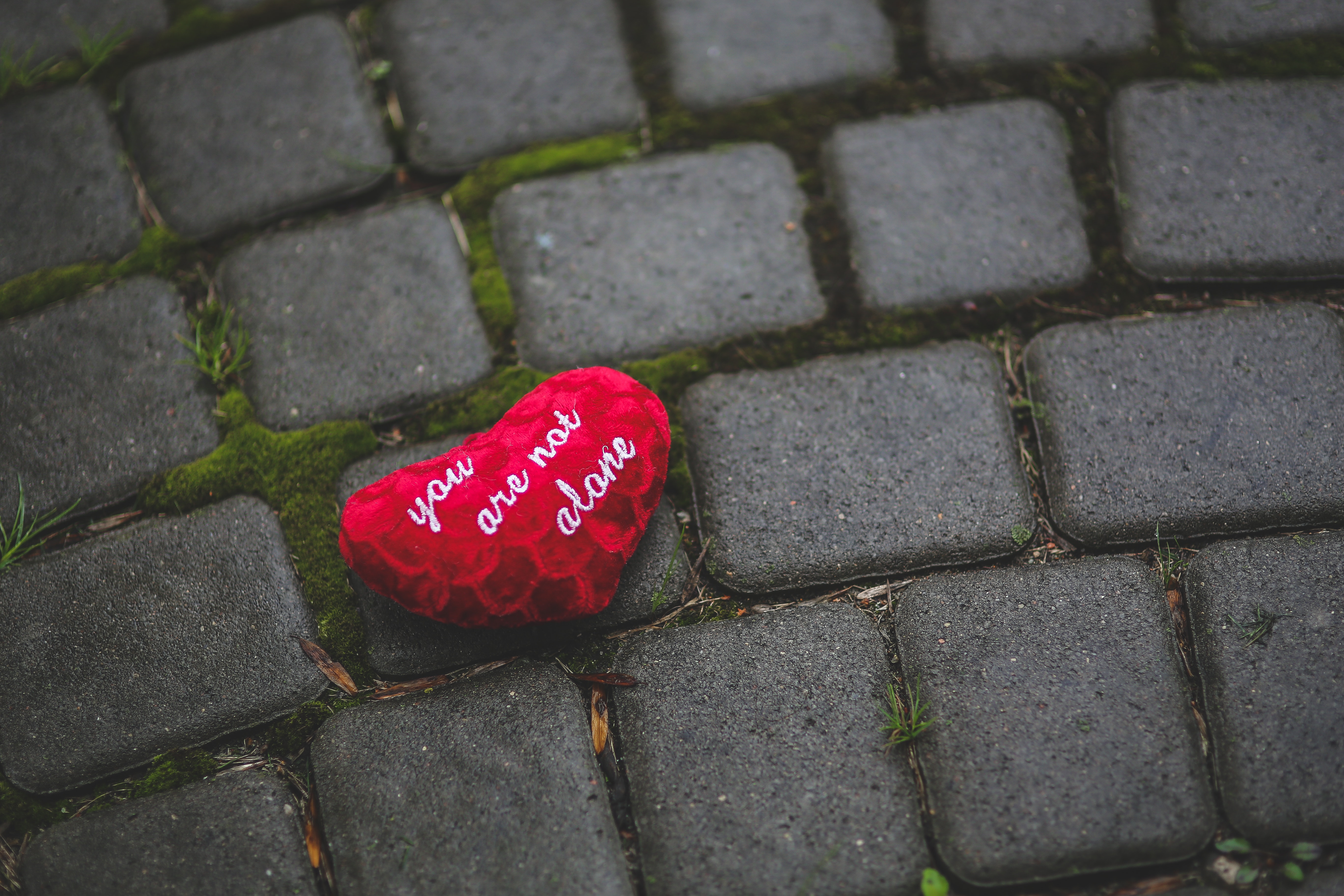 heart, love, inscription, moss, tile Phone Background