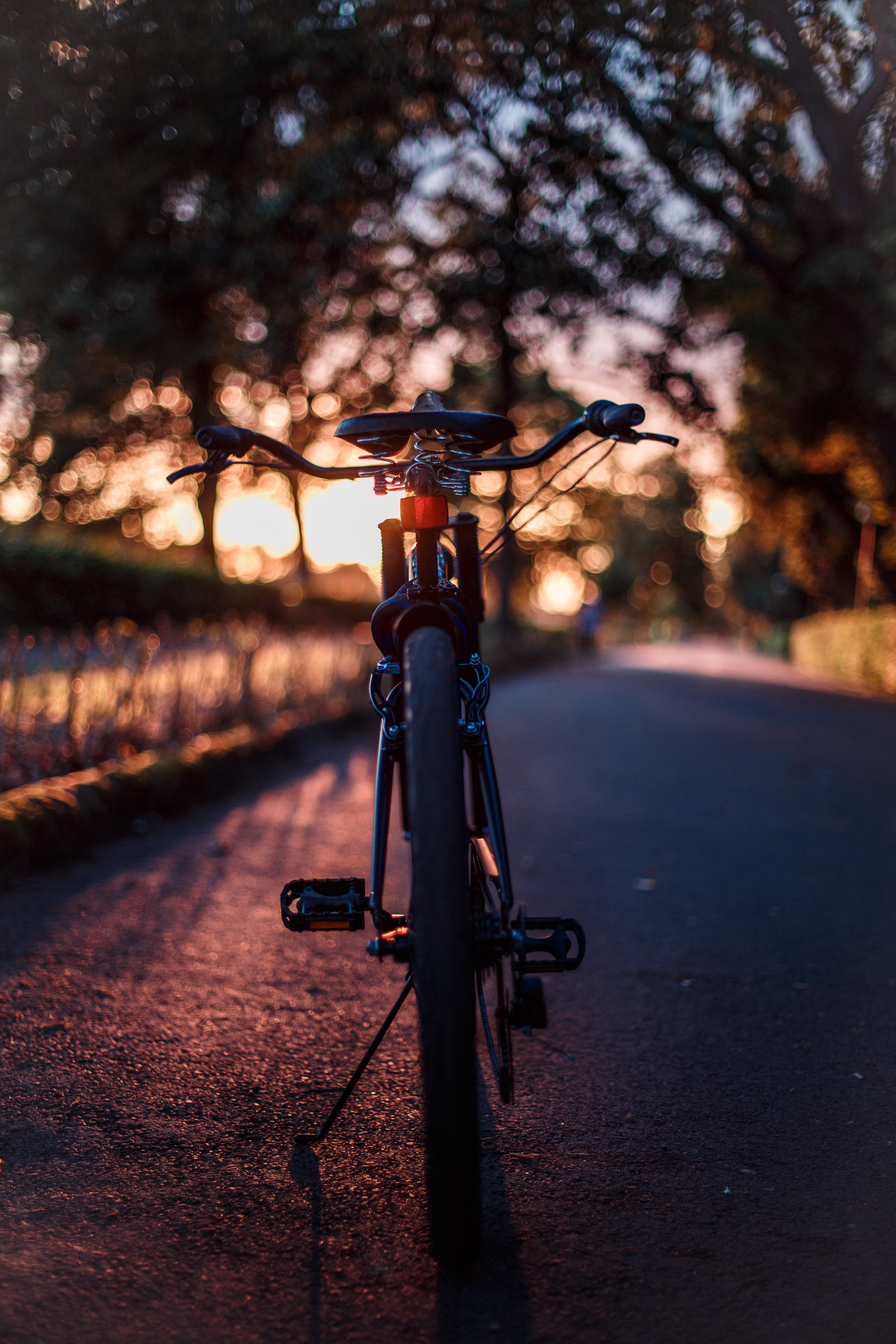 blur, bicycle, glare, sunset, miscellanea, miscellaneous, smooth