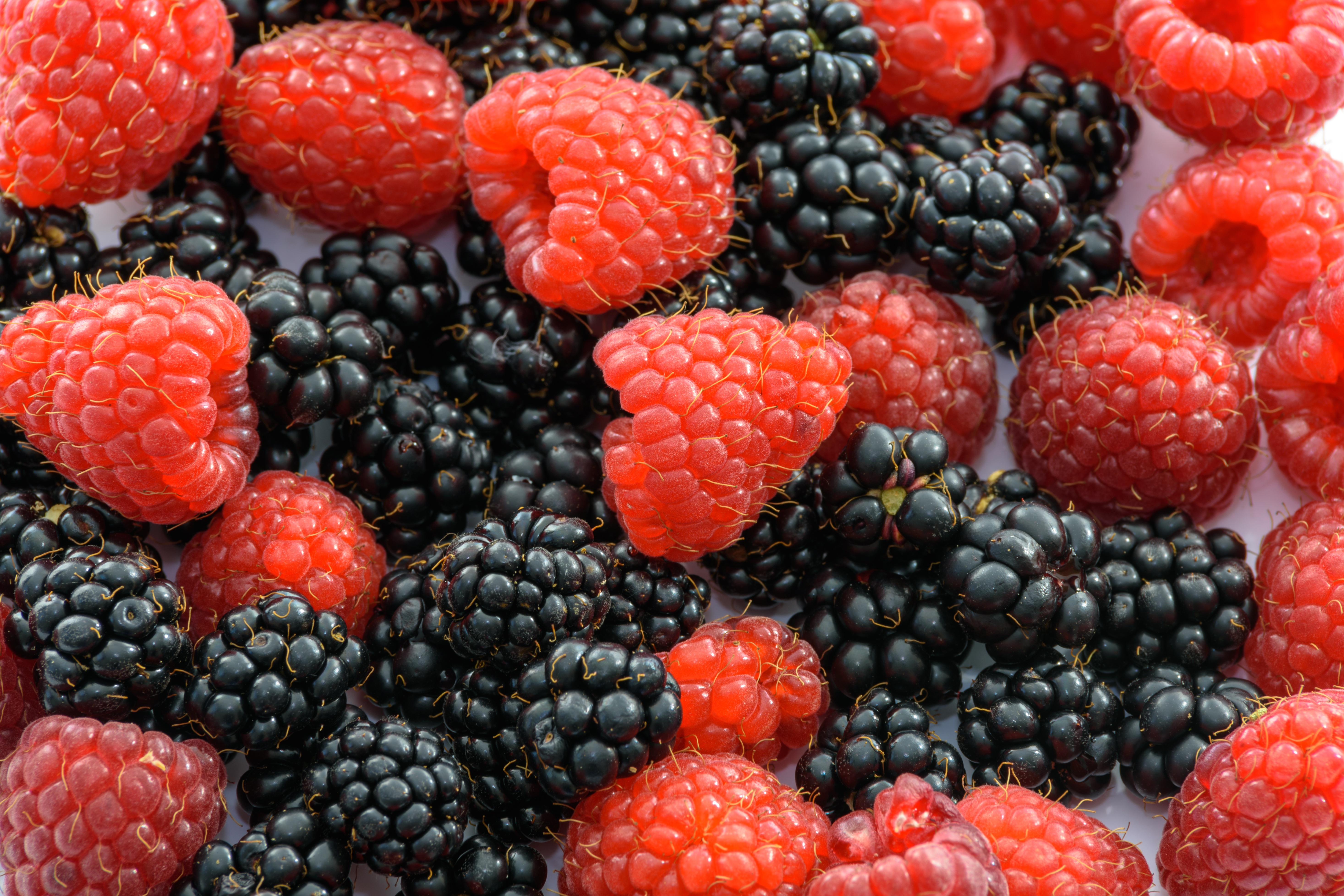 149958 download wallpaper ripe, food, raspberry, berries, blackberry, juicy screensavers and pictures for free