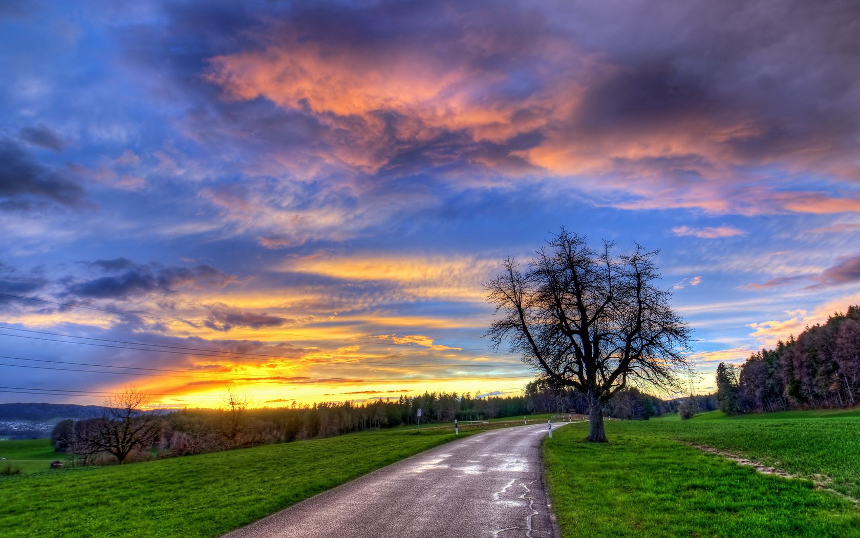 sunset, tree, road, wood Free HD pic