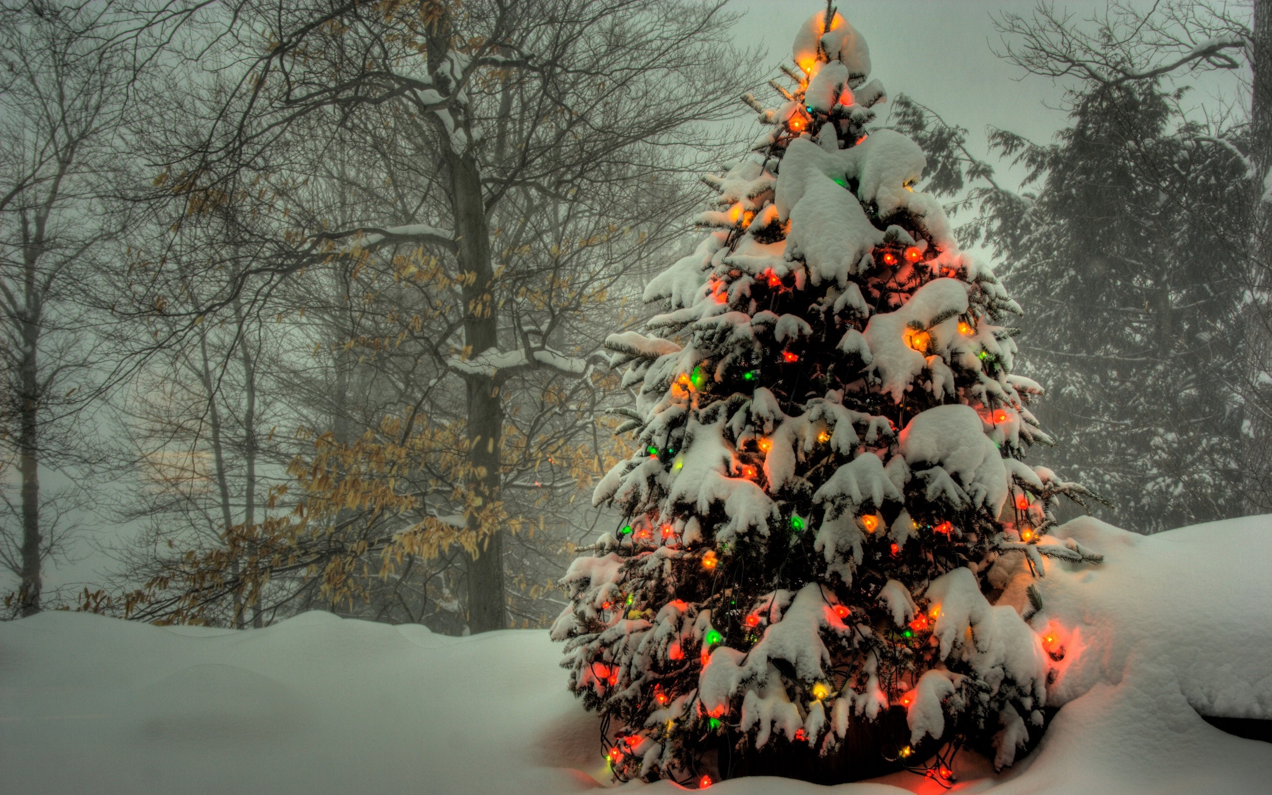 167484 Salvapantallas y fondos de pantalla Árbol De Navidad en tu teléfono. Descarga imágenes de  gratis
