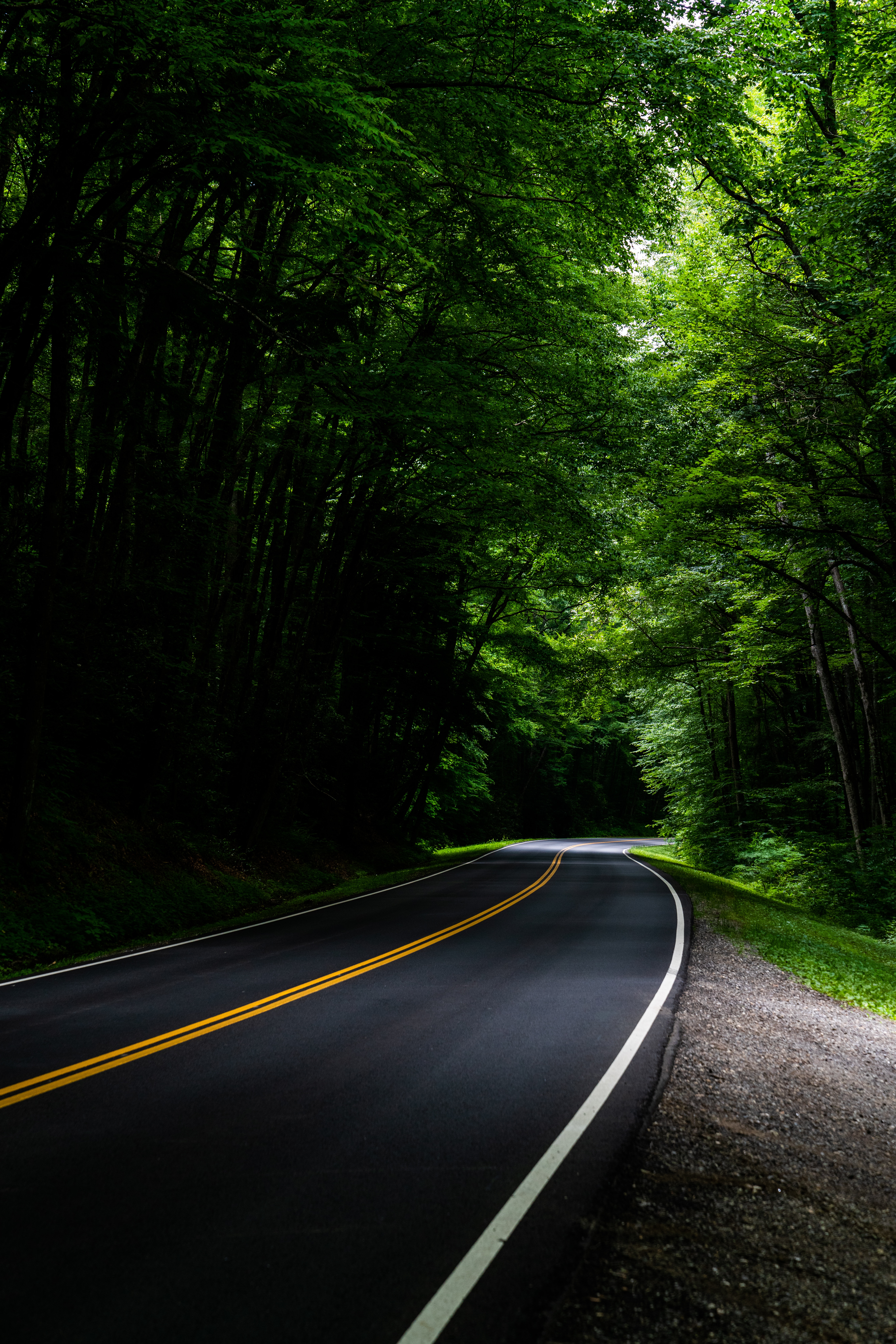 turn, road, trees, asphalt, nature, forest Smartphone Background