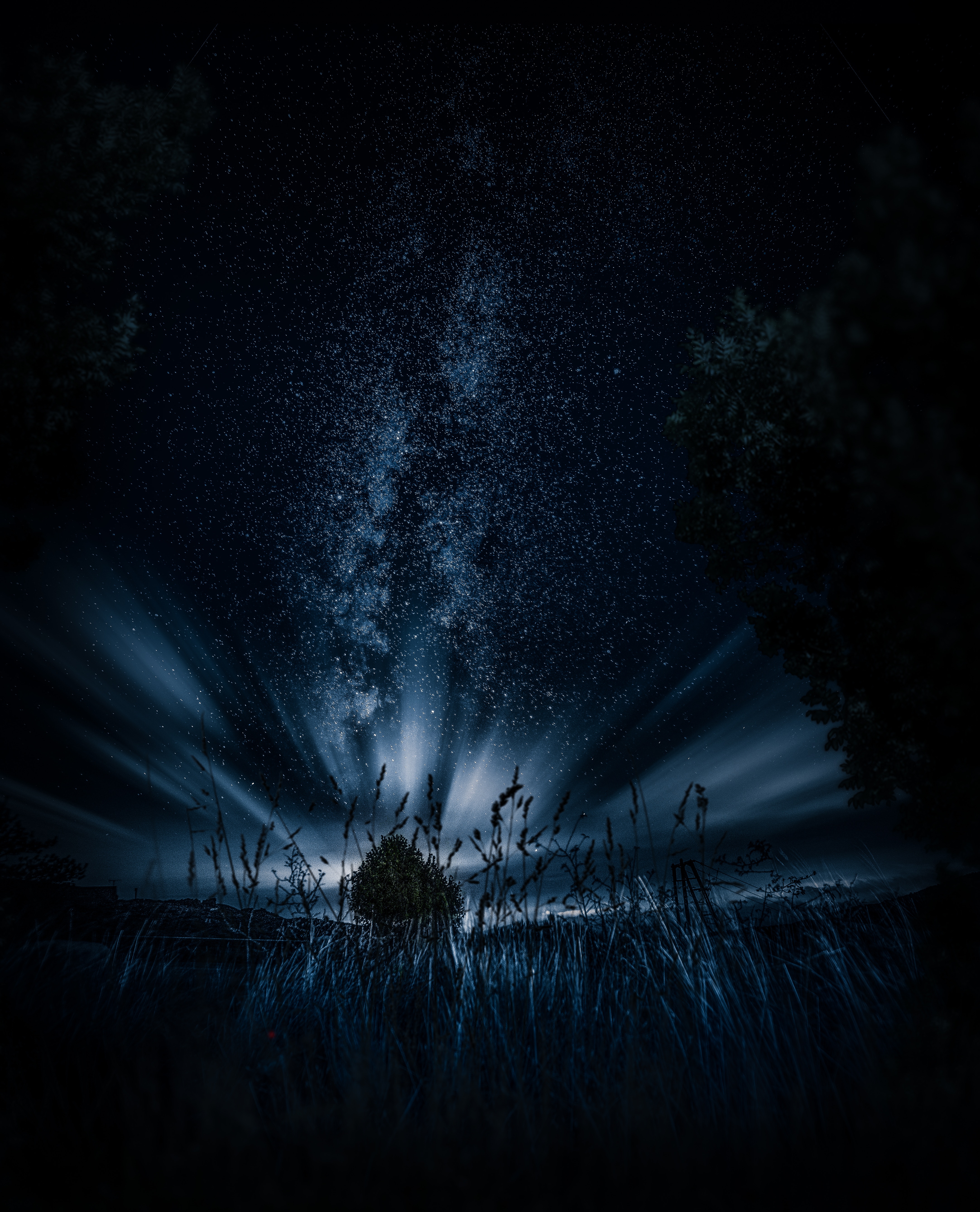 night, dark, grass, wood, tree, starry sky download HD wallpaper