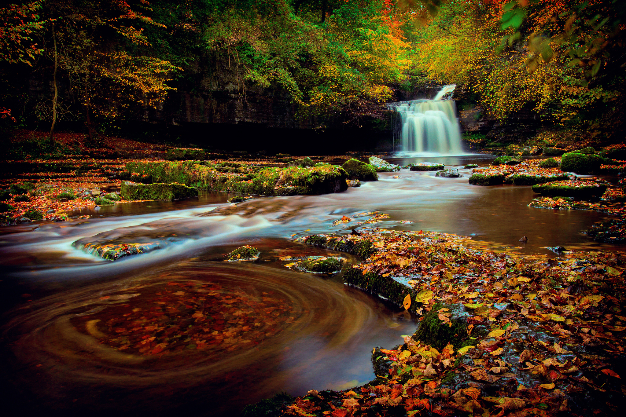 earth, waterfall, creek, fall, forest, leaf, waterfalls HD wallpaper