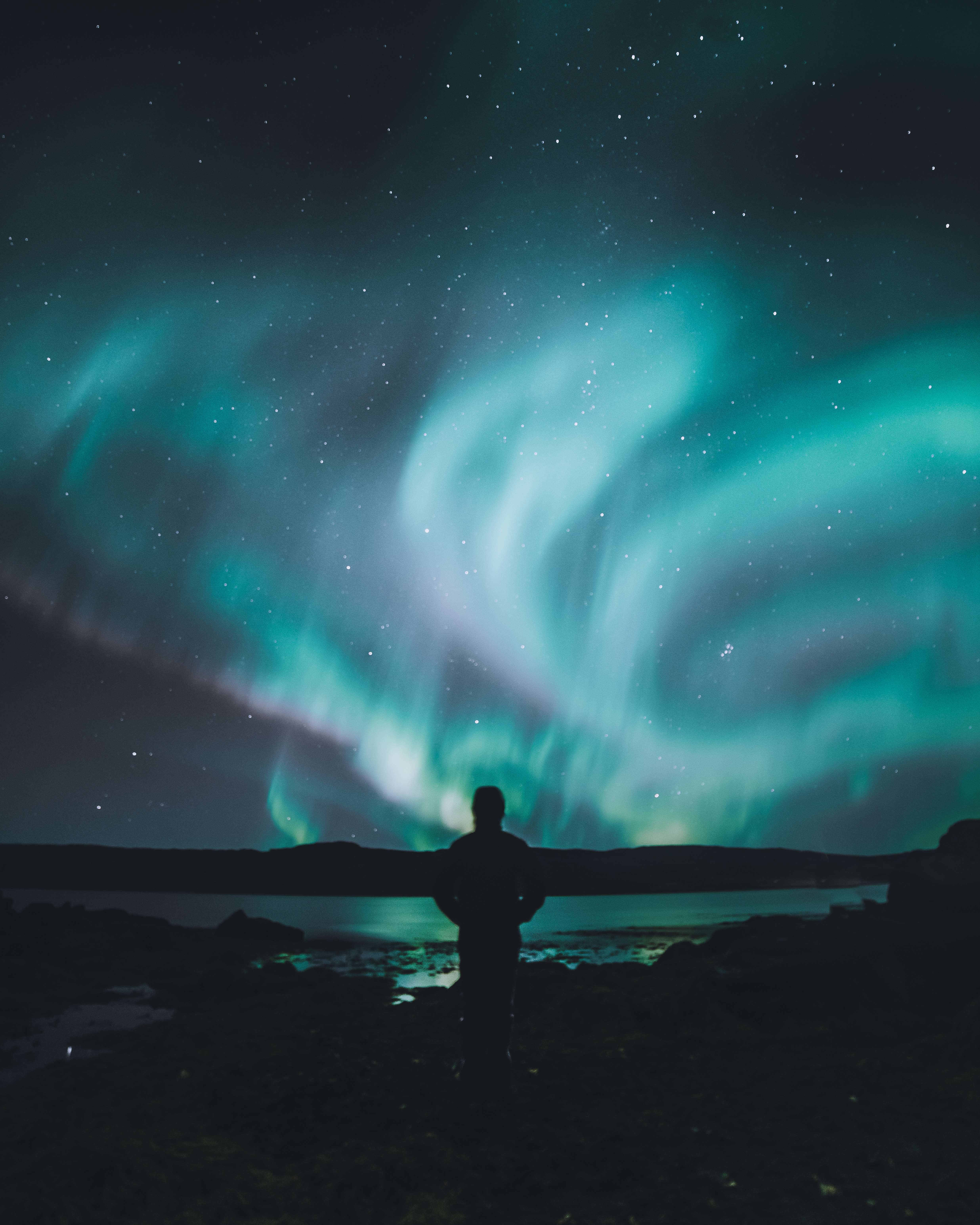 northern lights, aurora borealis, shore, bank, dark, starry sky, human, person Free Stock Photo