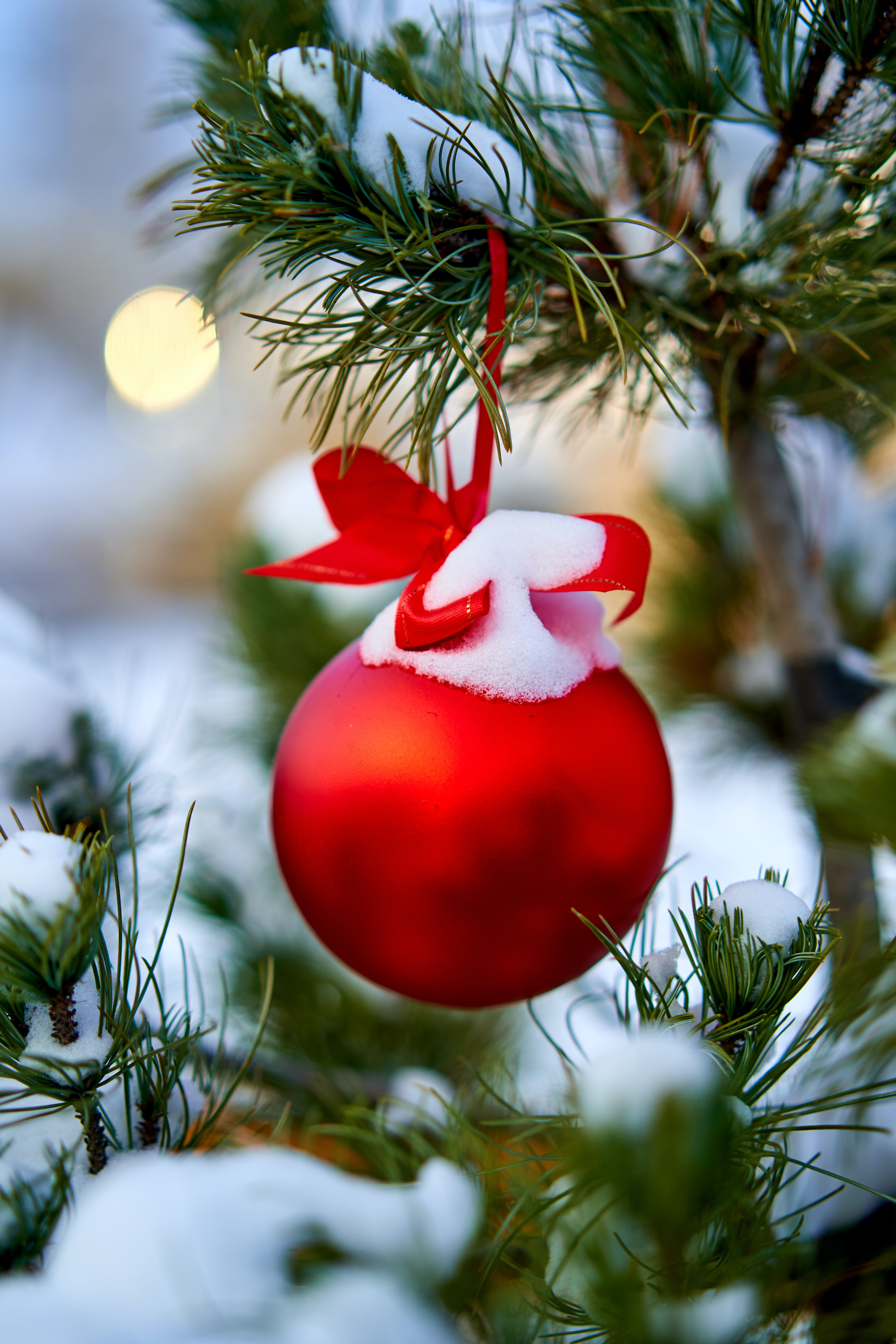 Laden Sie das Feiertage, Neujahr, Dekoration, Schnee, Weihnachten, Neues Jahr, Ball, Weihnachtsbaum-Bild kostenlos auf Ihren PC-Desktop herunter