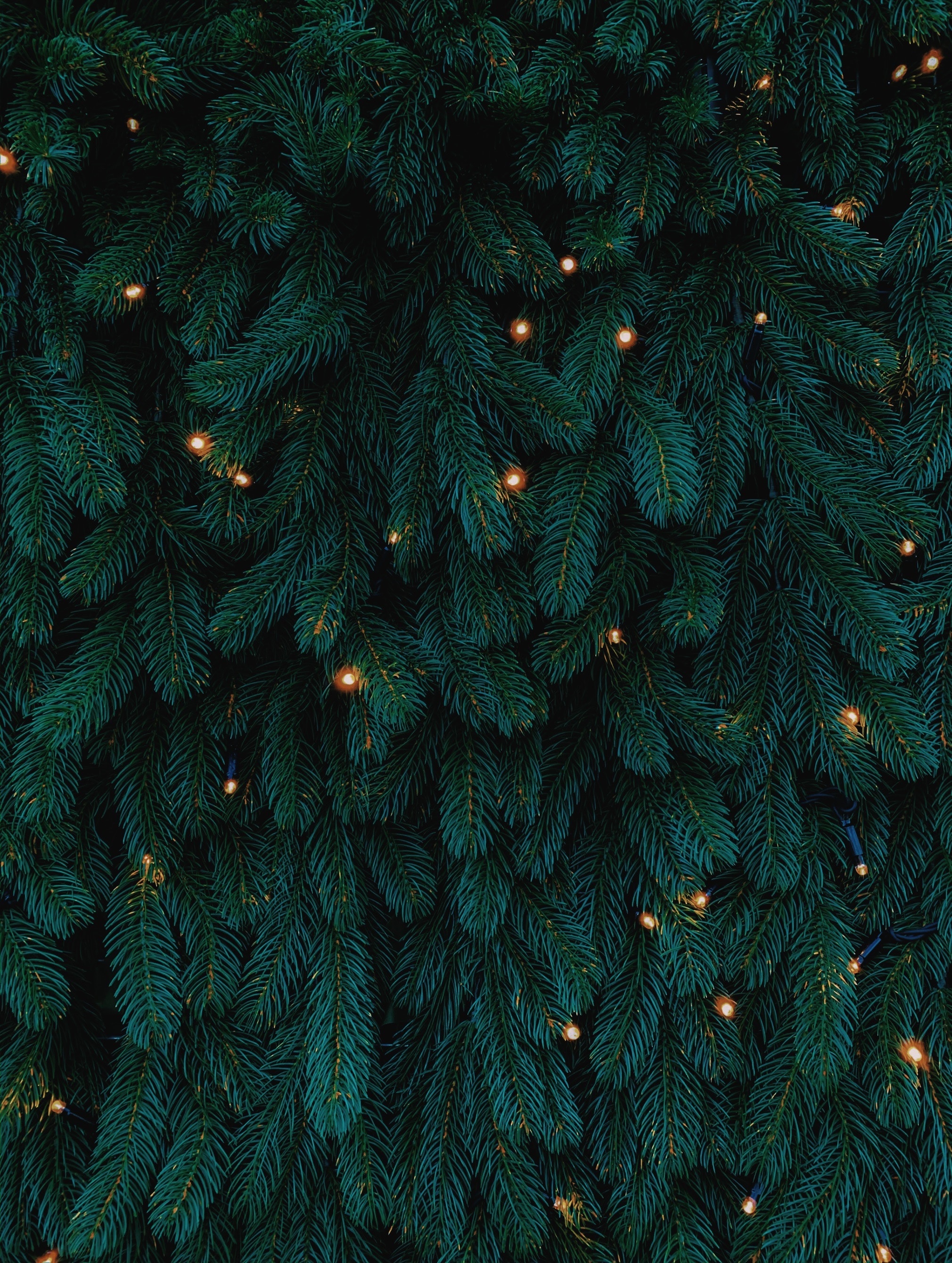 christmas, new year, garland, holidays, christmas tree, garlands HD wallpaper