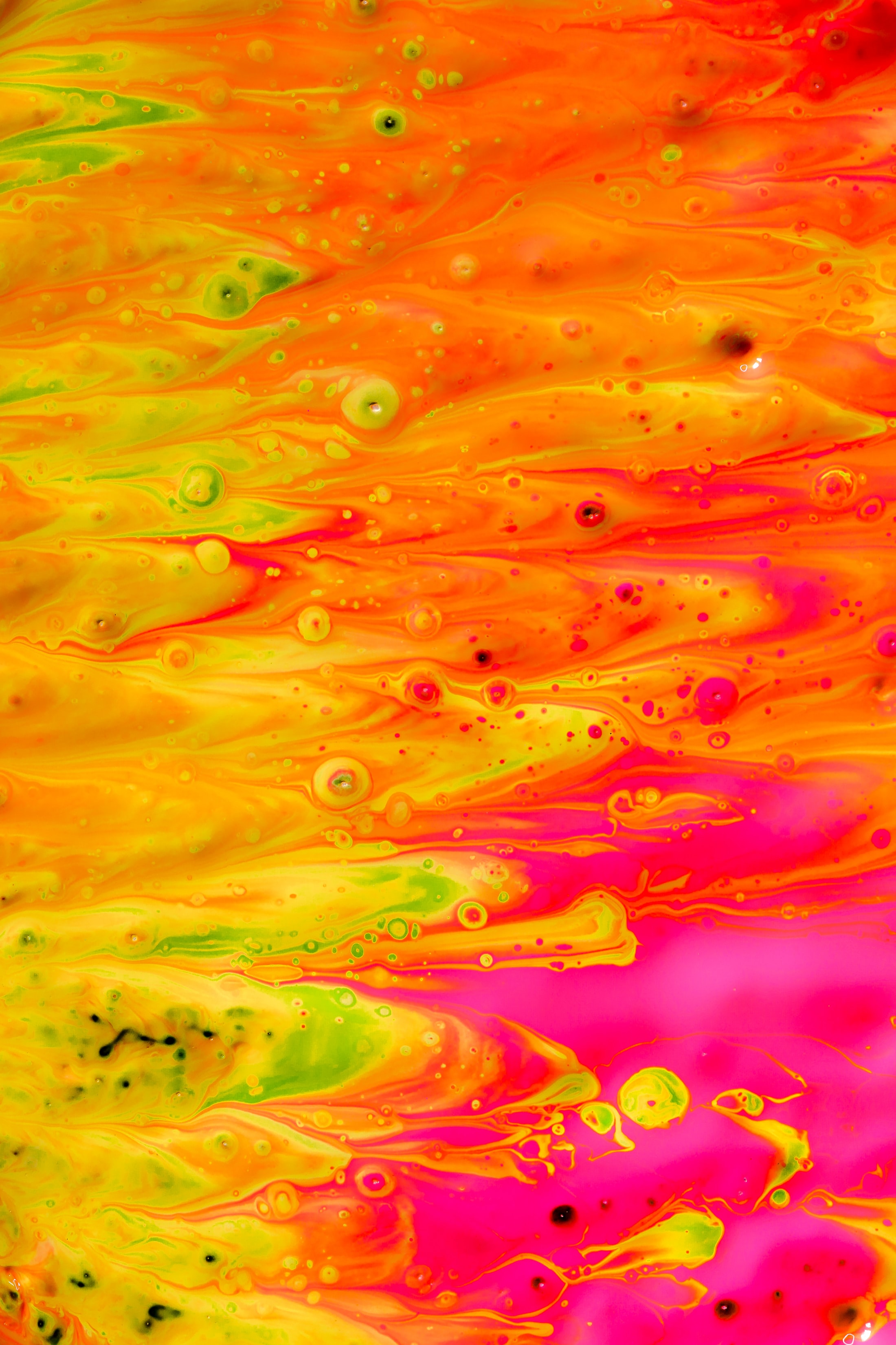 multicolored, divorces, abstract, motley, paint, liquid, distortion Phone Background