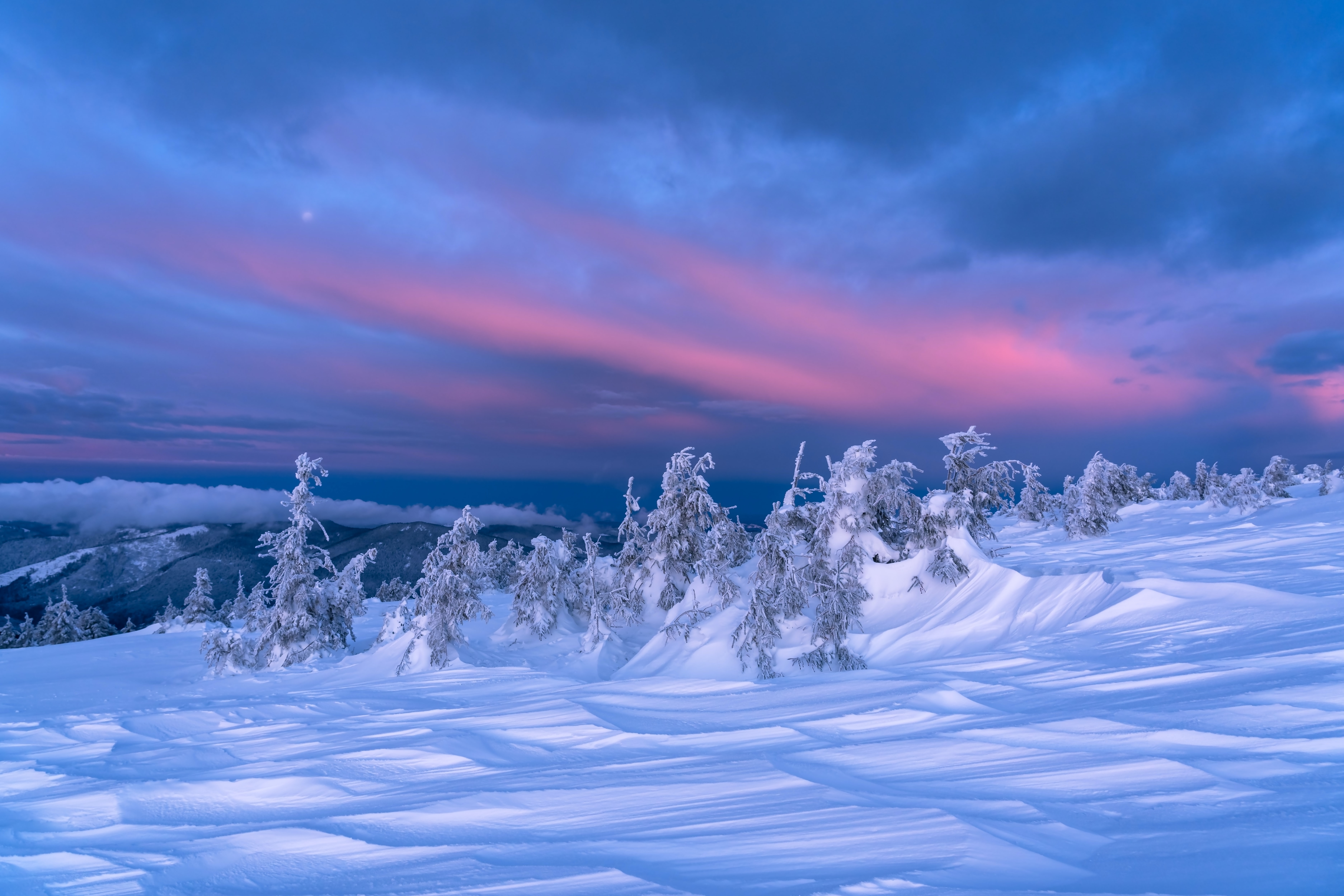 Laden Sie das Winter, Landschaft, Natur, Bäume, Schnee, Dämmerung, Twilight-Bild kostenlos auf Ihren PC-Desktop herunter