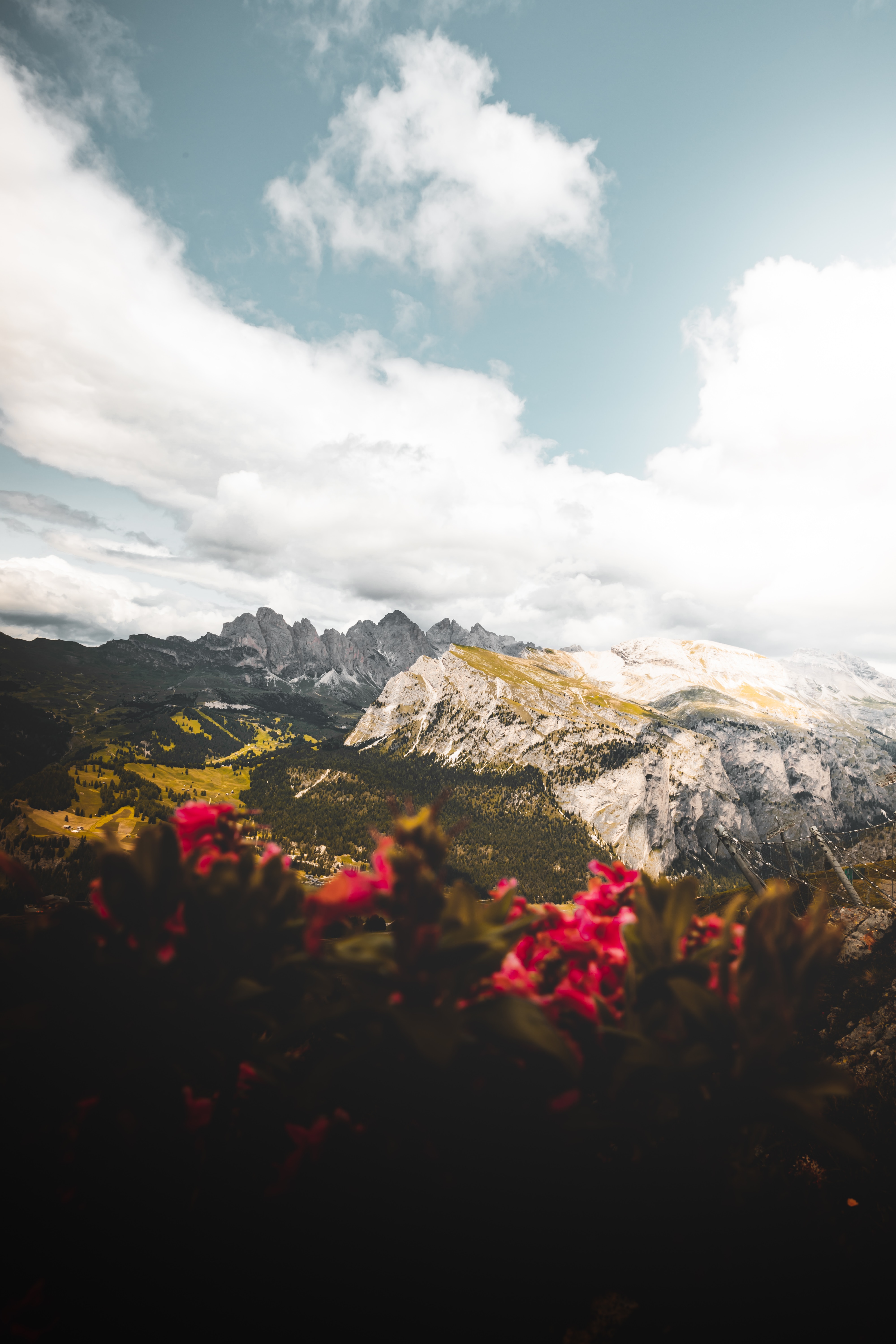 nature, flowers, mountains, clouds, vertex, height, tops