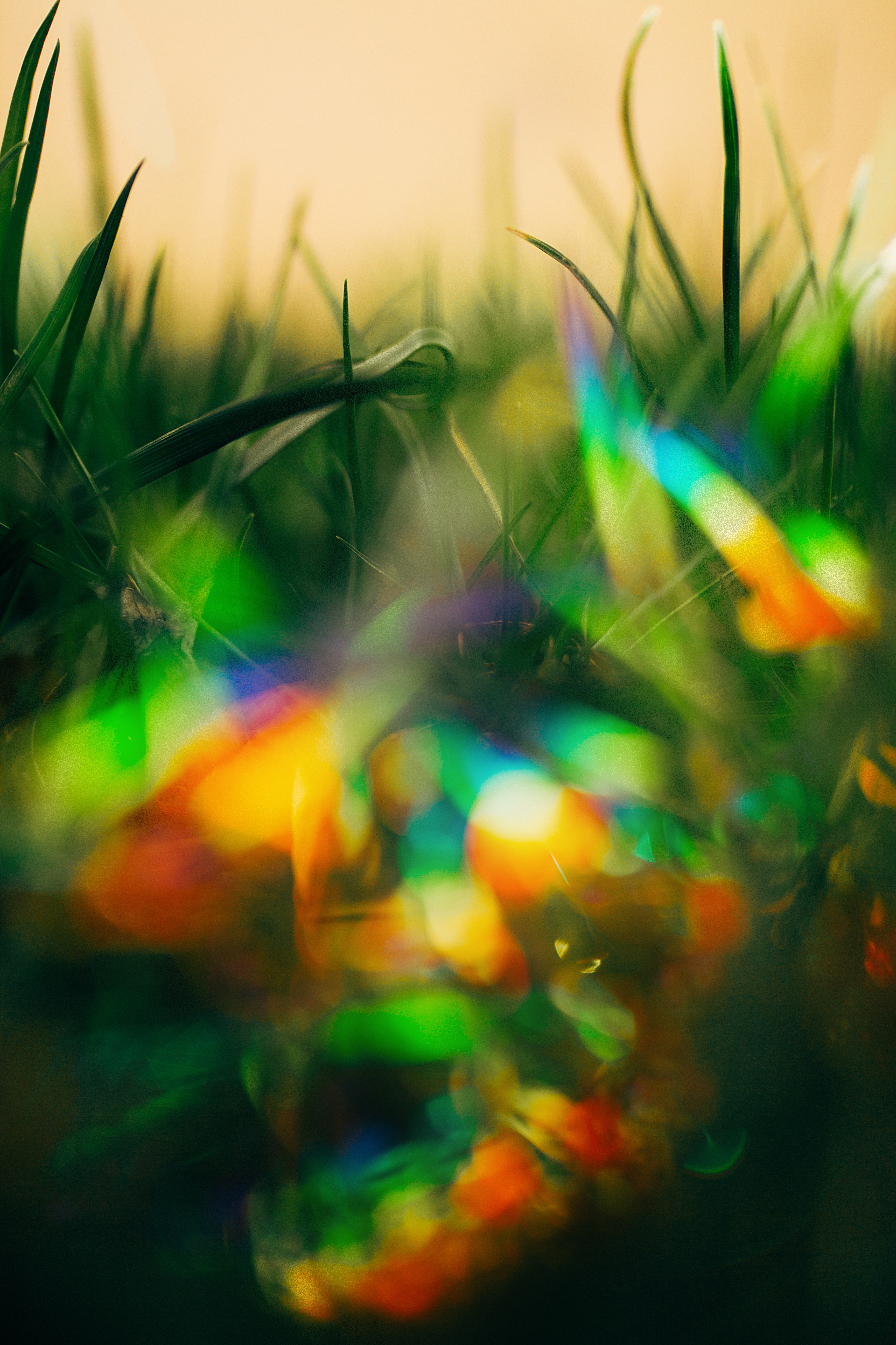 glare, motley, grass, macro, multicolored, boquet, bokeh Phone Background