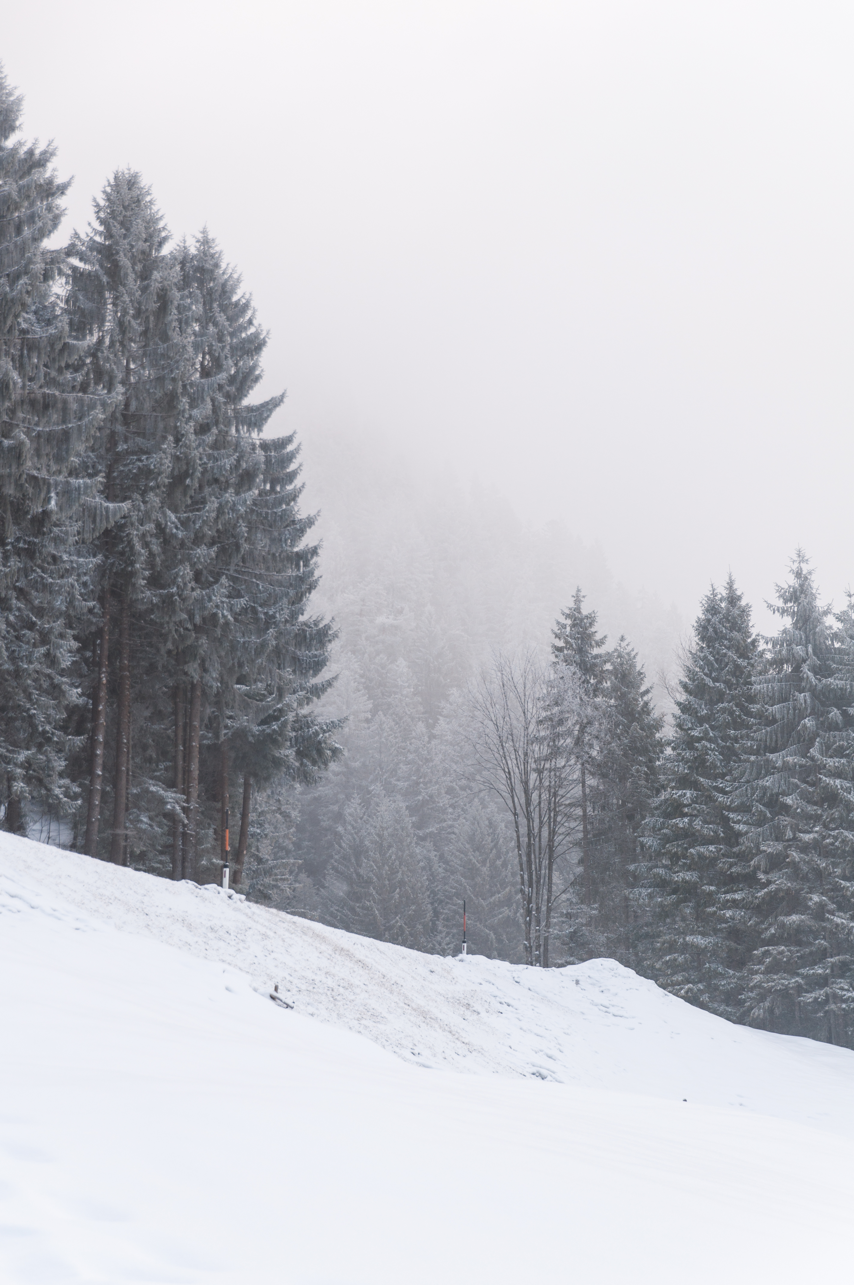 116309 Bildschirmschoner und Hintergrundbilder Schneesturm auf Ihrem Telefon. Laden Sie steigung, winter, bäume, natur Bilder kostenlos herunter