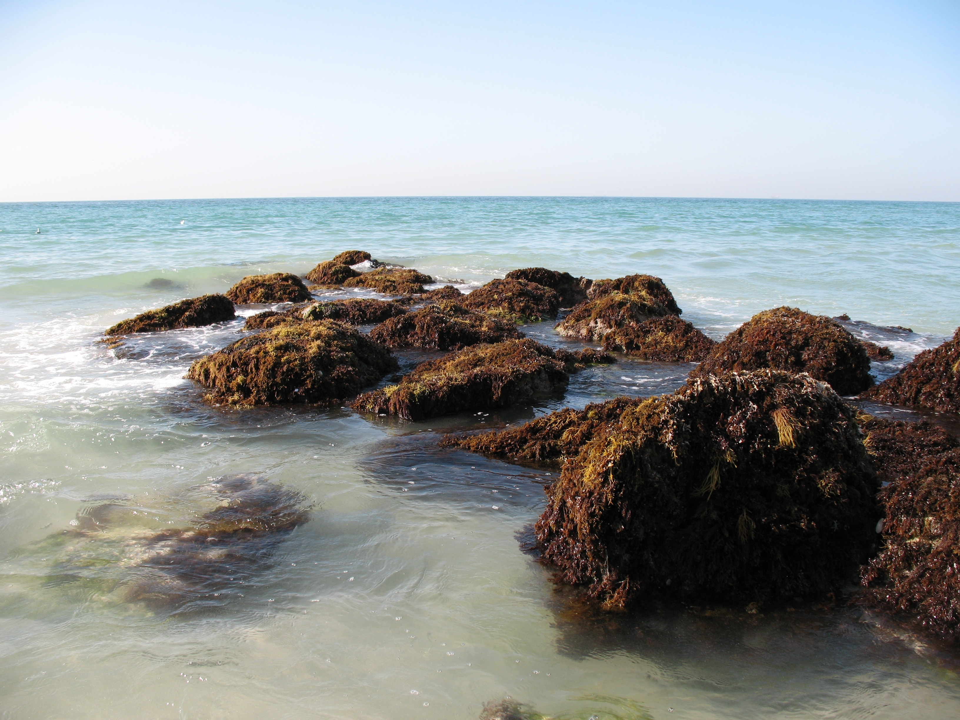 61398 Hintergrundbild herunterladen natur, stones, sea, waves, strand, dubai, vereinigte arabische emirate, persischer golf - Bildschirmschoner und Bilder kostenlos