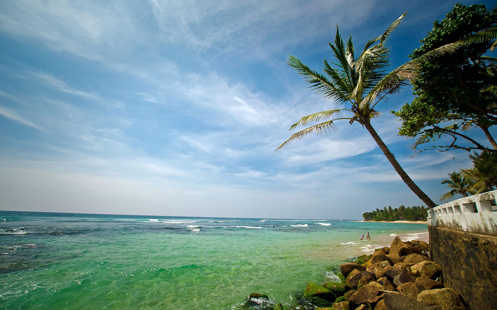 105410 Hintergrundbilder und Resort Bilder auf dem Desktop. Laden Sie sea, stones, palm, natur Bildschirmschoner kostenlos auf den PC herunter