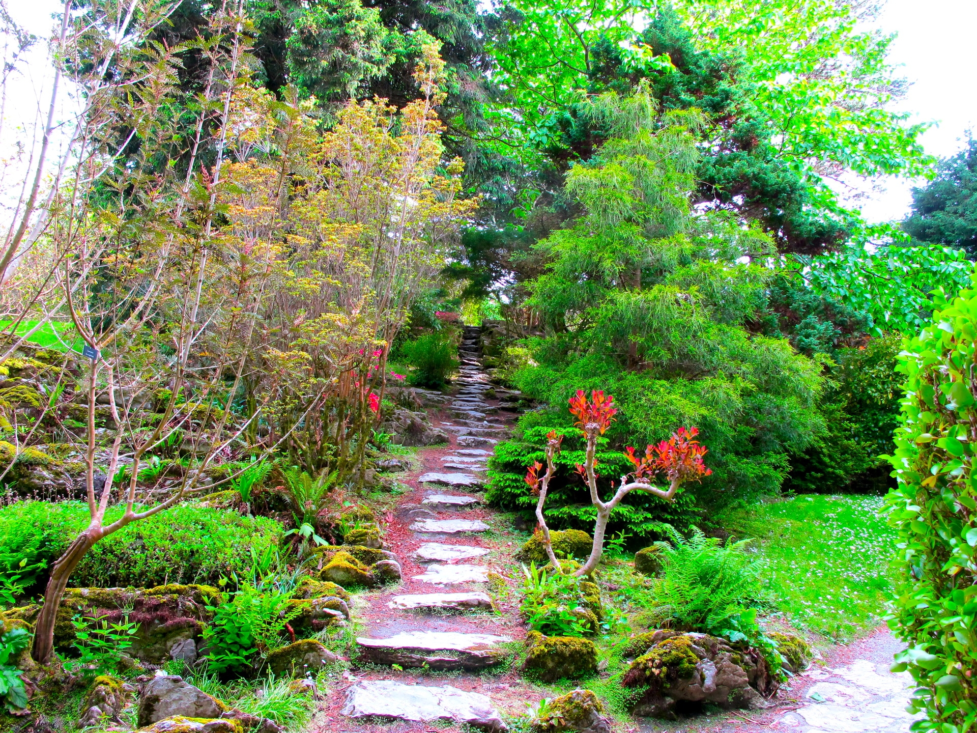 garden, nature, trees, green, branches, vegetation, branch, steps, brightly, track