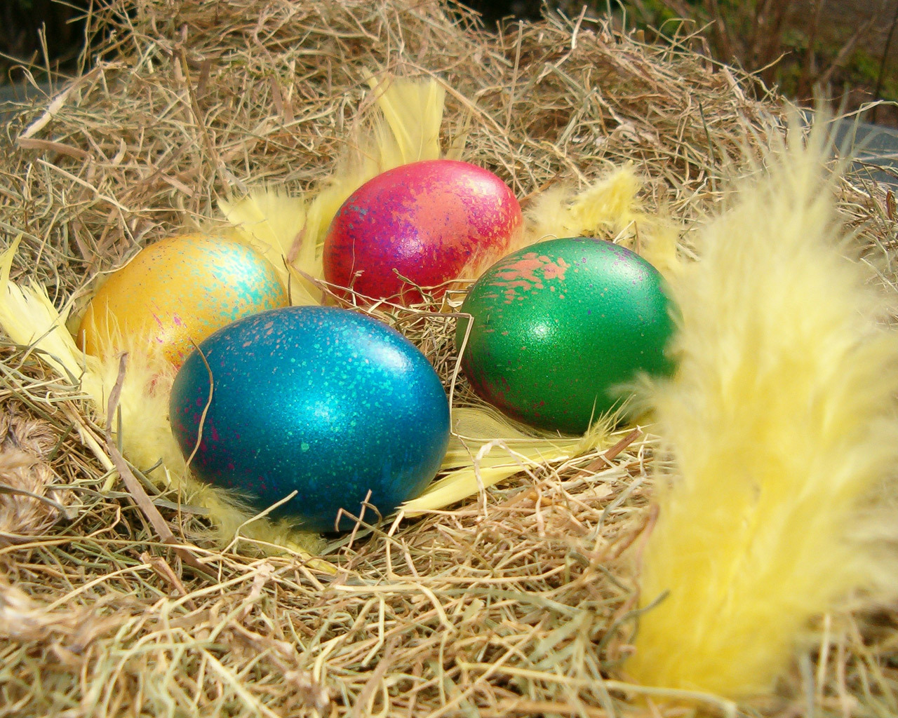12888 Bildschirmschoner und Hintergrundbilder Ostern auf Ihrem Telefon. Laden Sie eggs, gelb, feiertage, lebensmittel Bilder kostenlos herunter