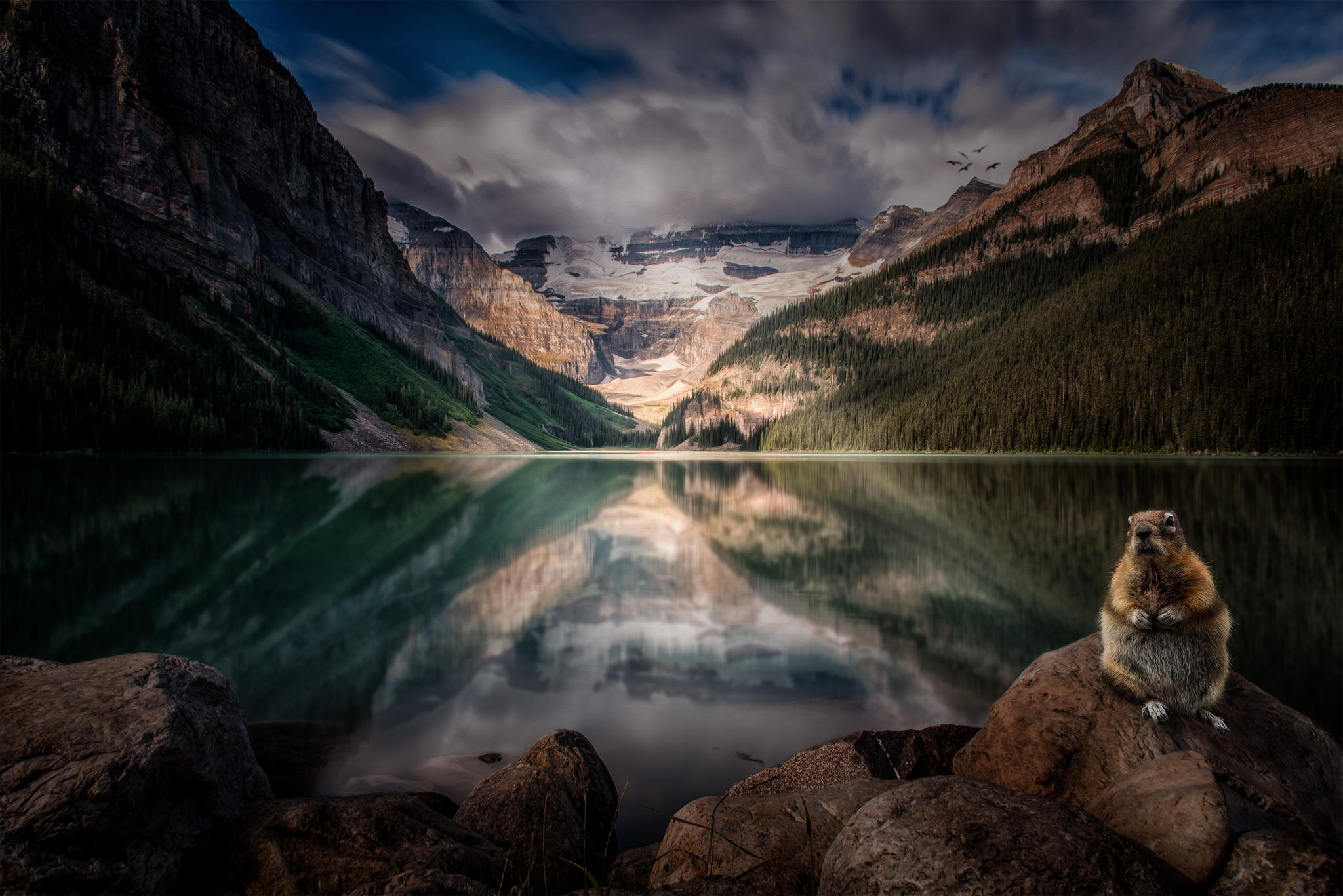 canada, earth, lake louise, alberta, beaver, cliff, forest, lake, mountain, nature, reflection, rodent, lakes Full HD