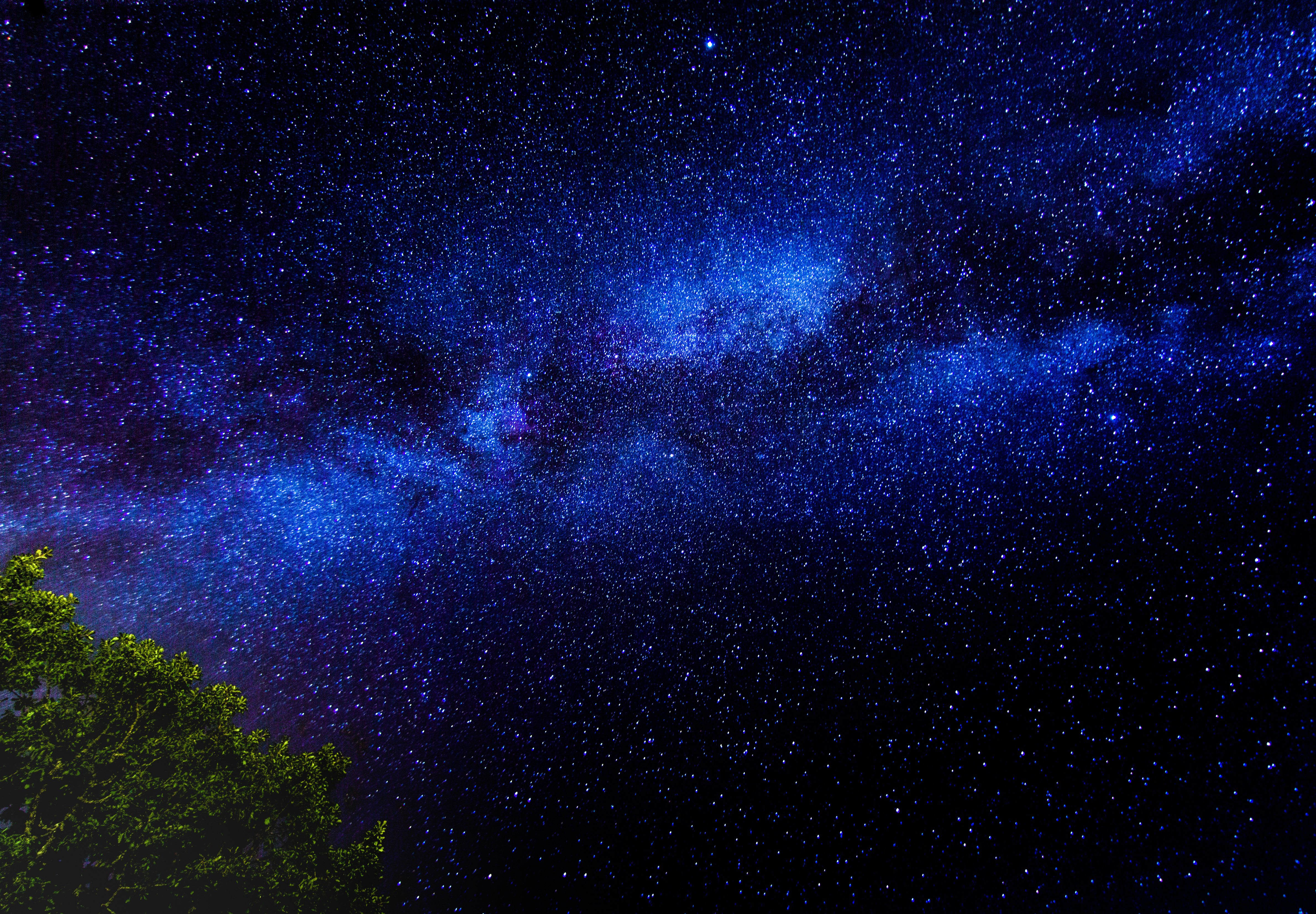 night, stars, dark, wood, tree, starry sky, branches HD wallpaper