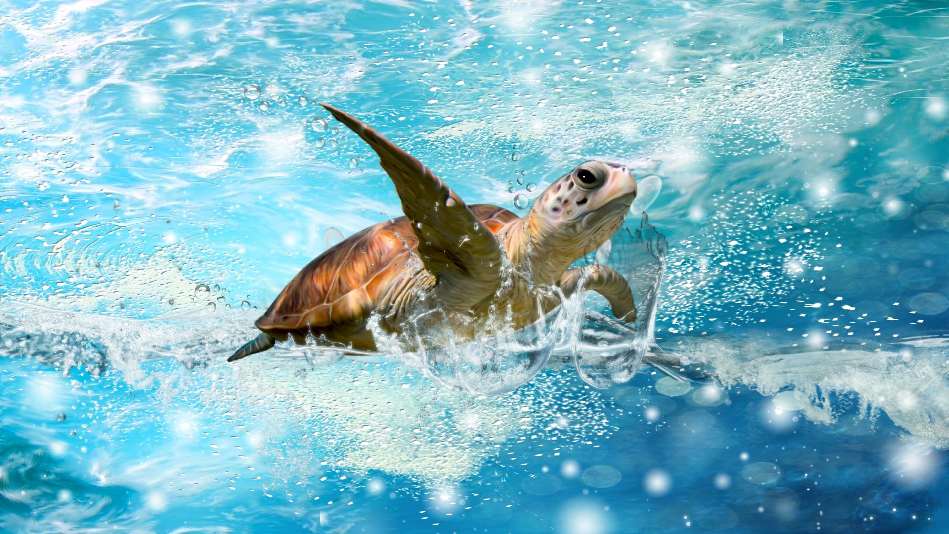 animal, sea turtle, turtles iphone wallpaper