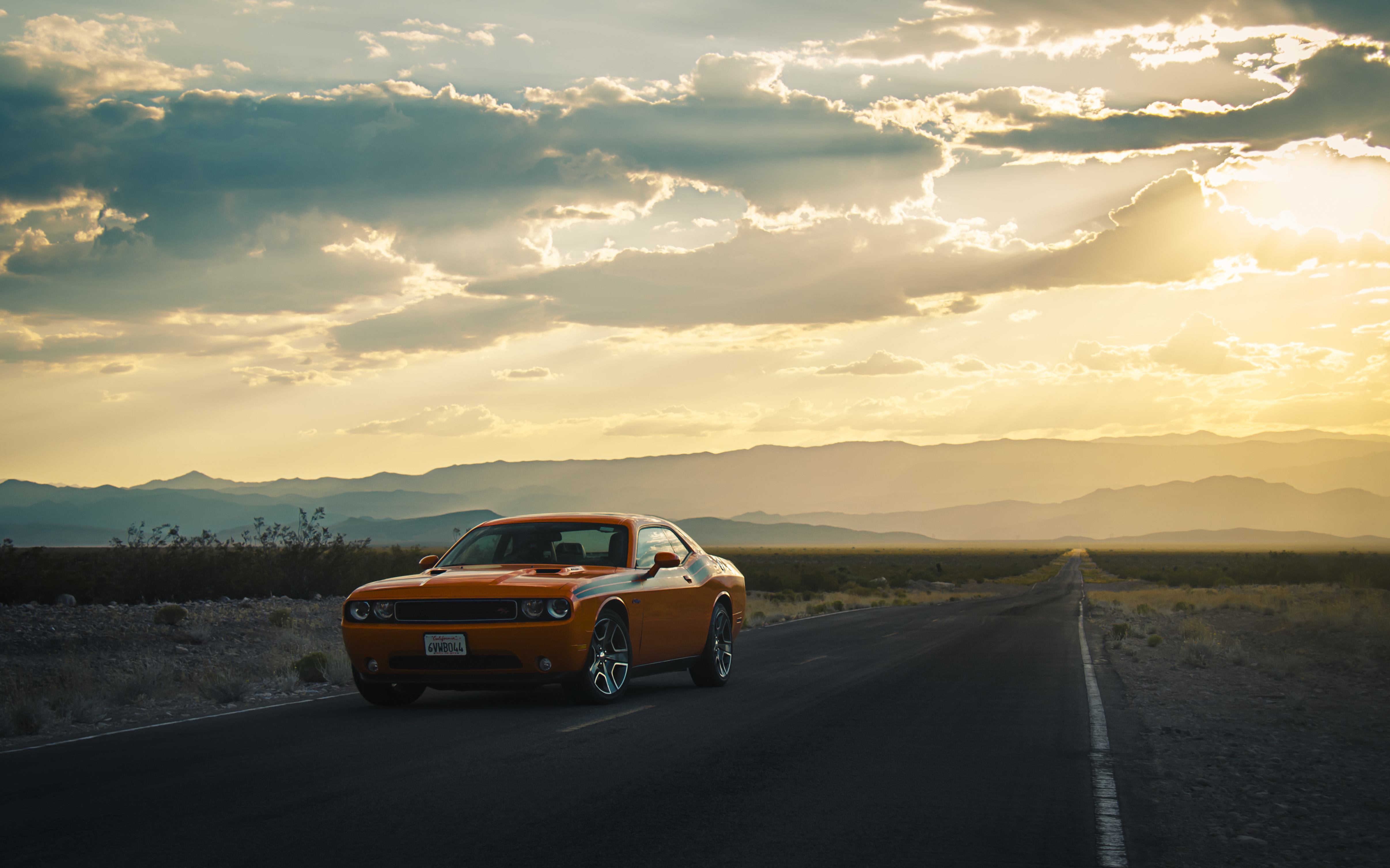 dodge, cars, road, side view, challenger
