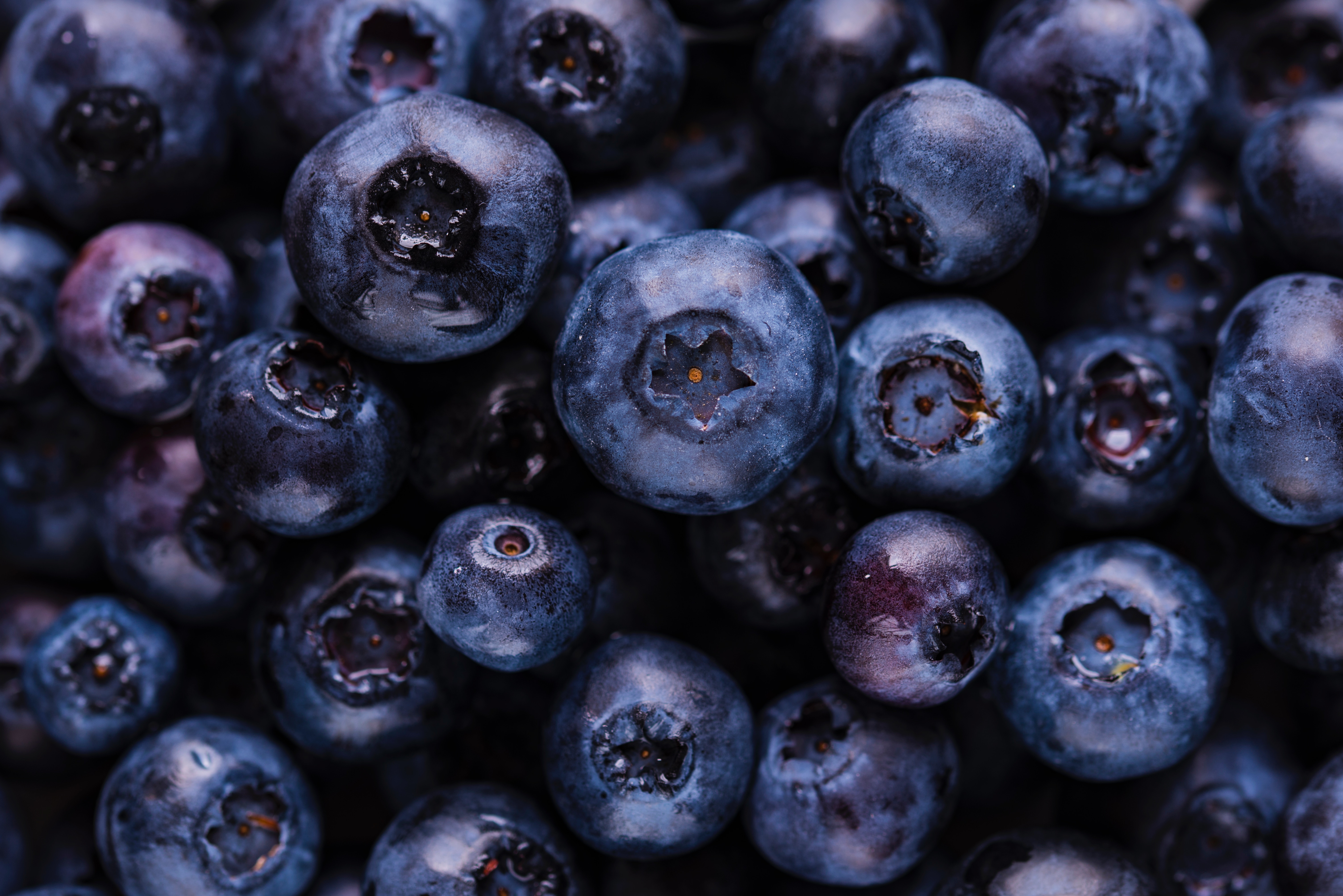 Handy-Wallpaper Lebensmittel, Blueberry, Blaubeeren, Berries, Reif kostenlos herunterladen.