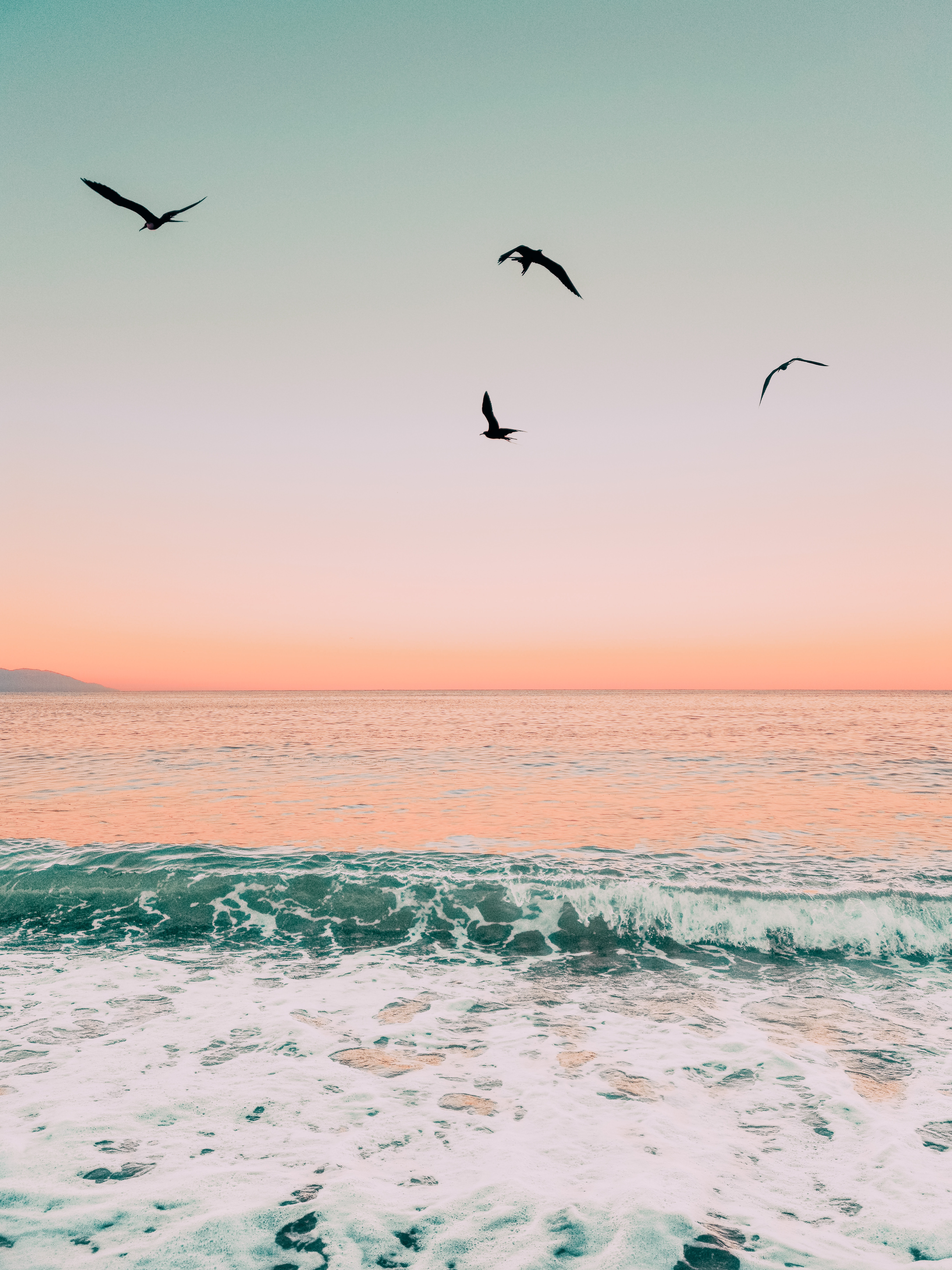 Panoramic Wallpapers Twilight waves, sea, nature, birds