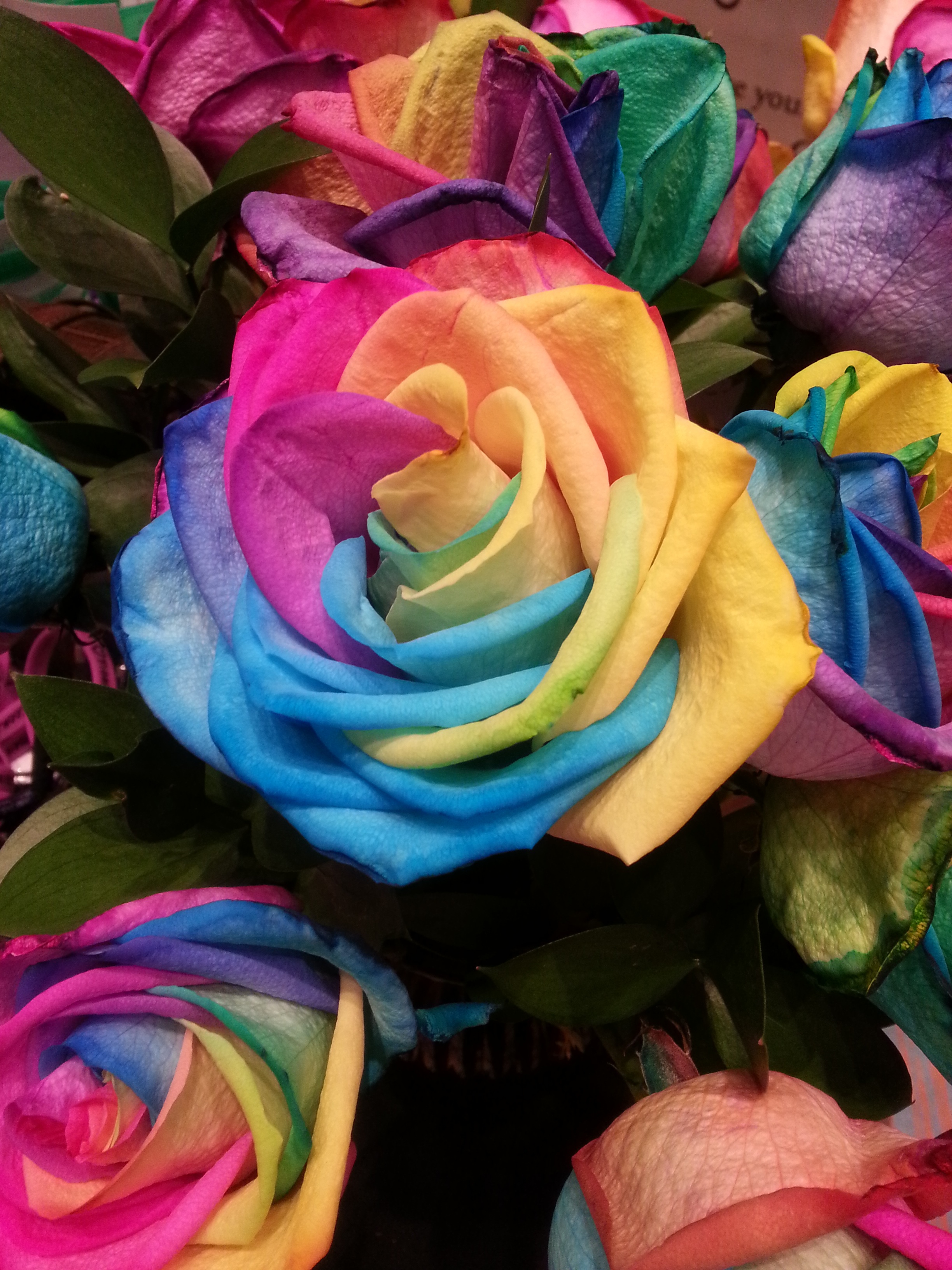 rainbow, flowers, multicolored, motley, rose flower, rose, iridescent