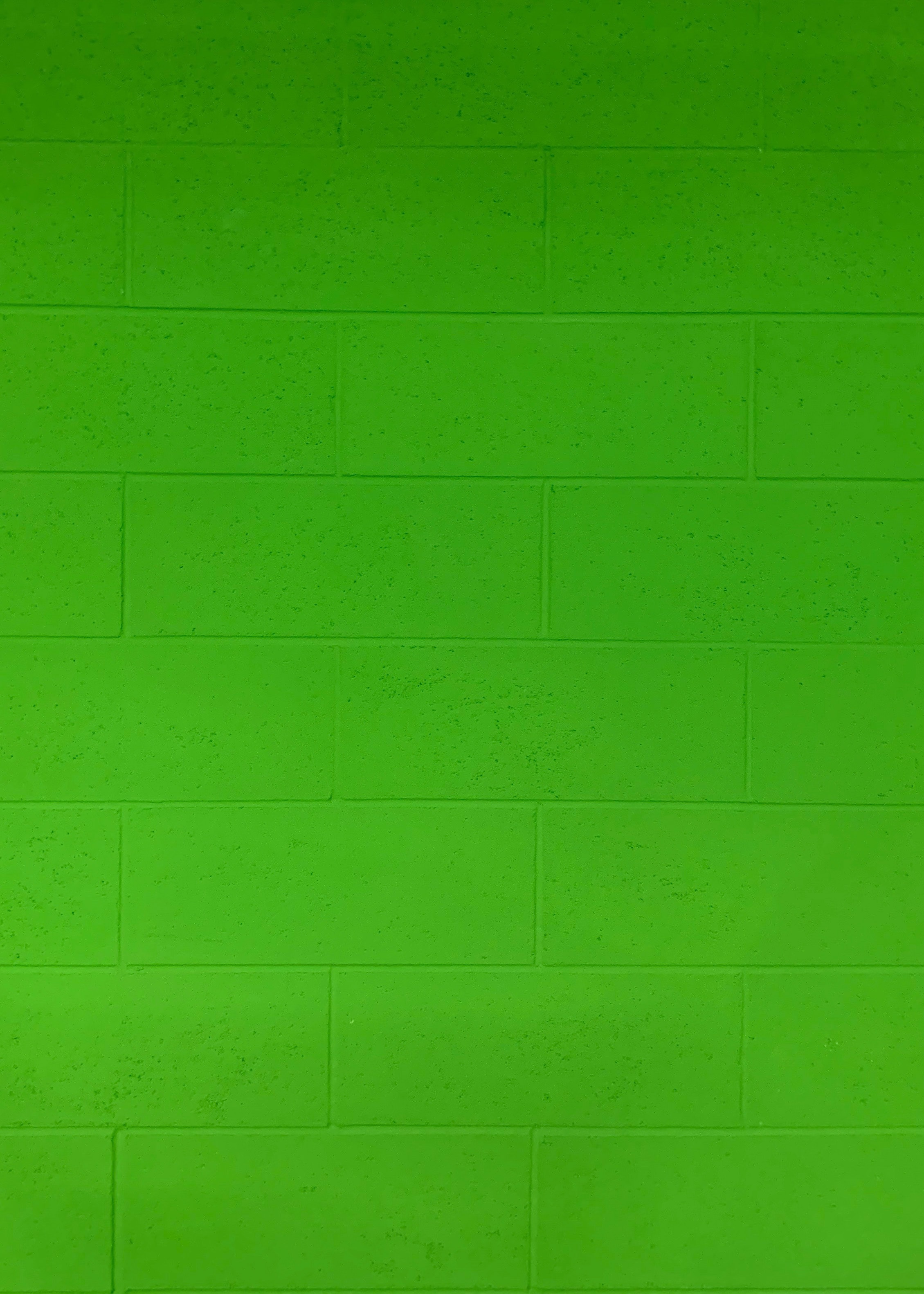 電話スクリーンに最適な緑の壁紙