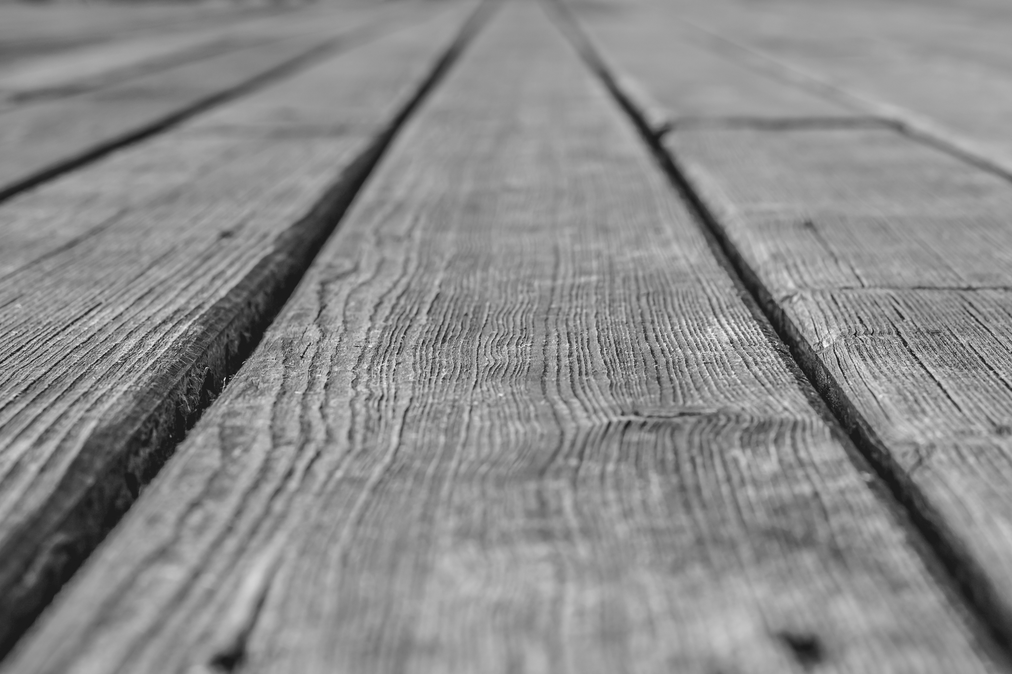 grey, wood, tree, texture, textures, bw, chb, planks, board