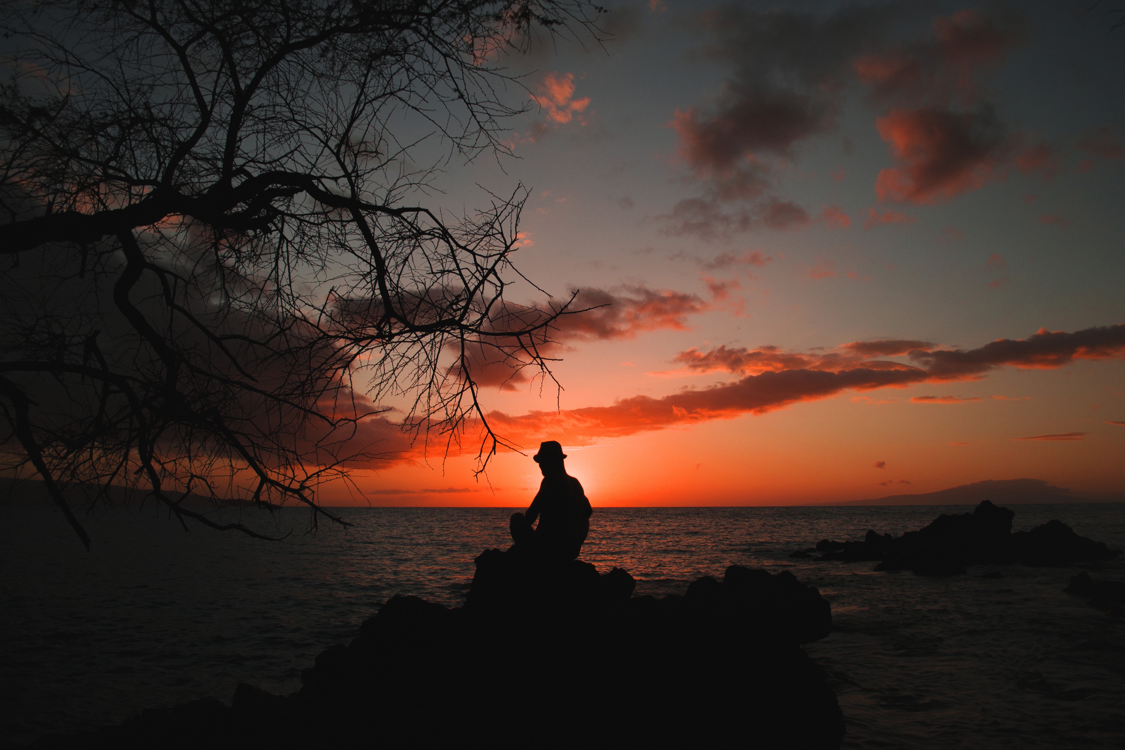 Free HD privacy, loneliness, dark, sunset, sea, silhouette, seclusion