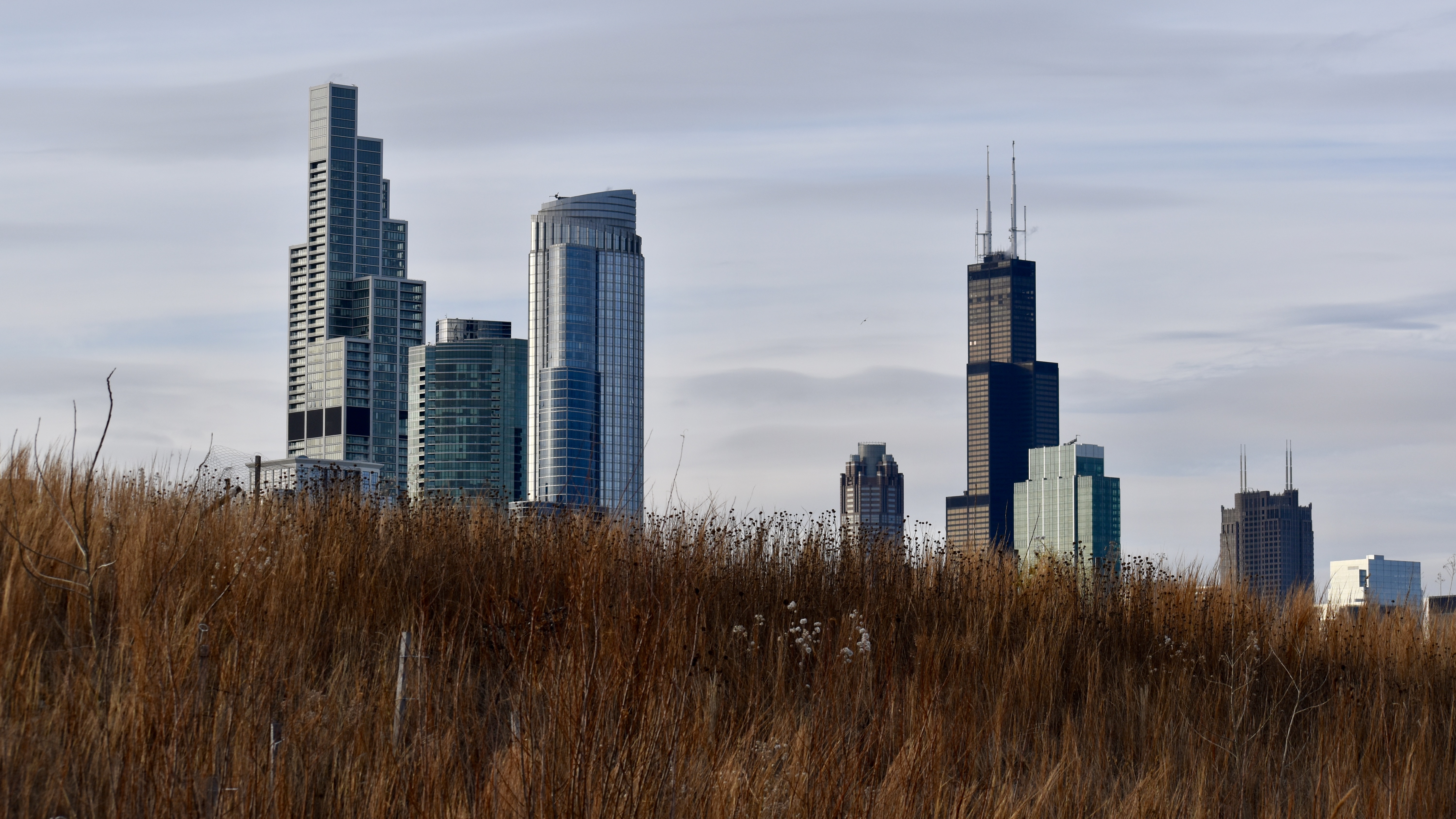 grass, skyscrapers, architecture, towers Horizontal Wallpapers