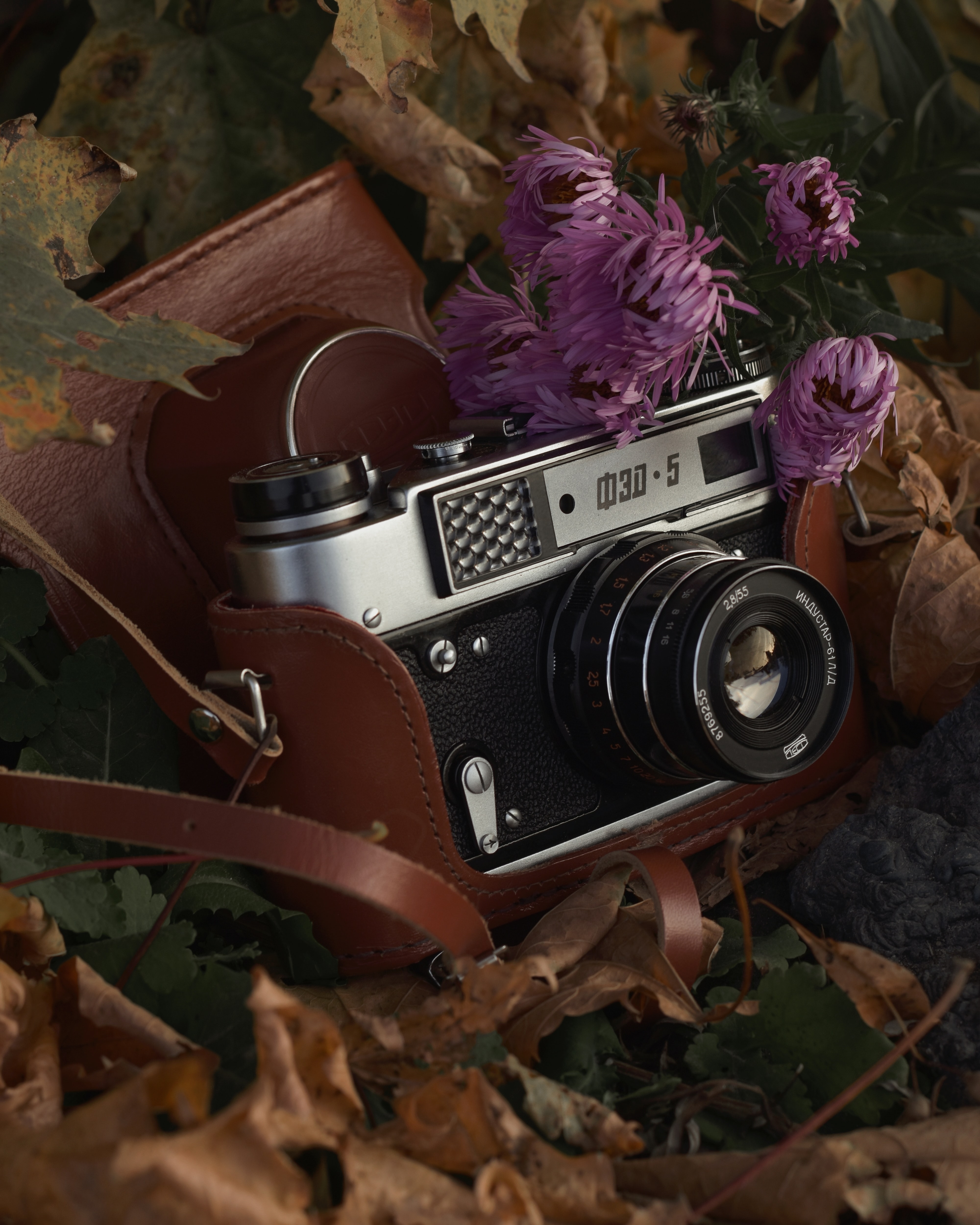 autumn, miscellanea, miscellaneous, vintage, foliage, retro, lens, camera Smartphone Background