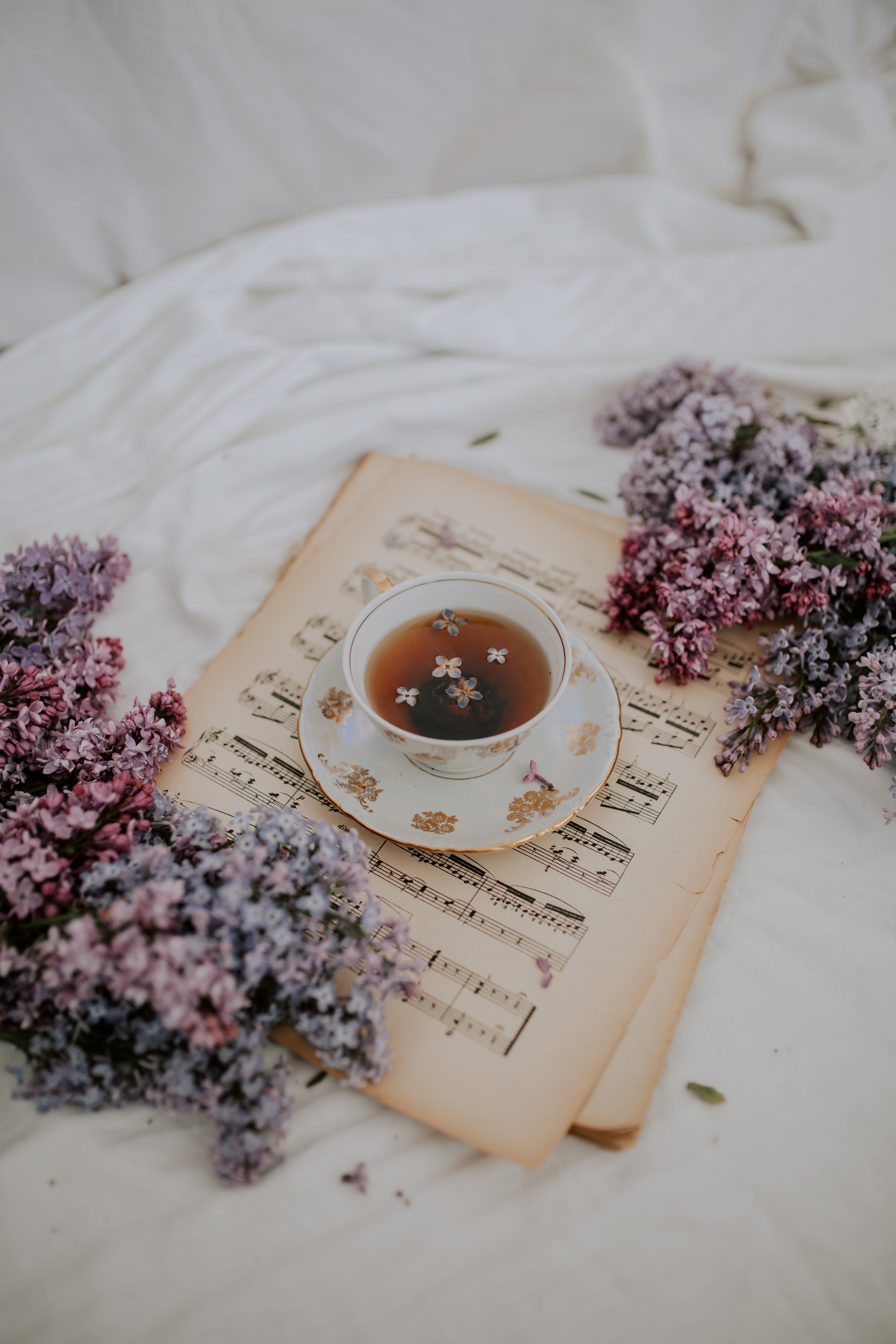 cup, music, flowers, lilac, still life, tea, notes Aesthetic wallpaper