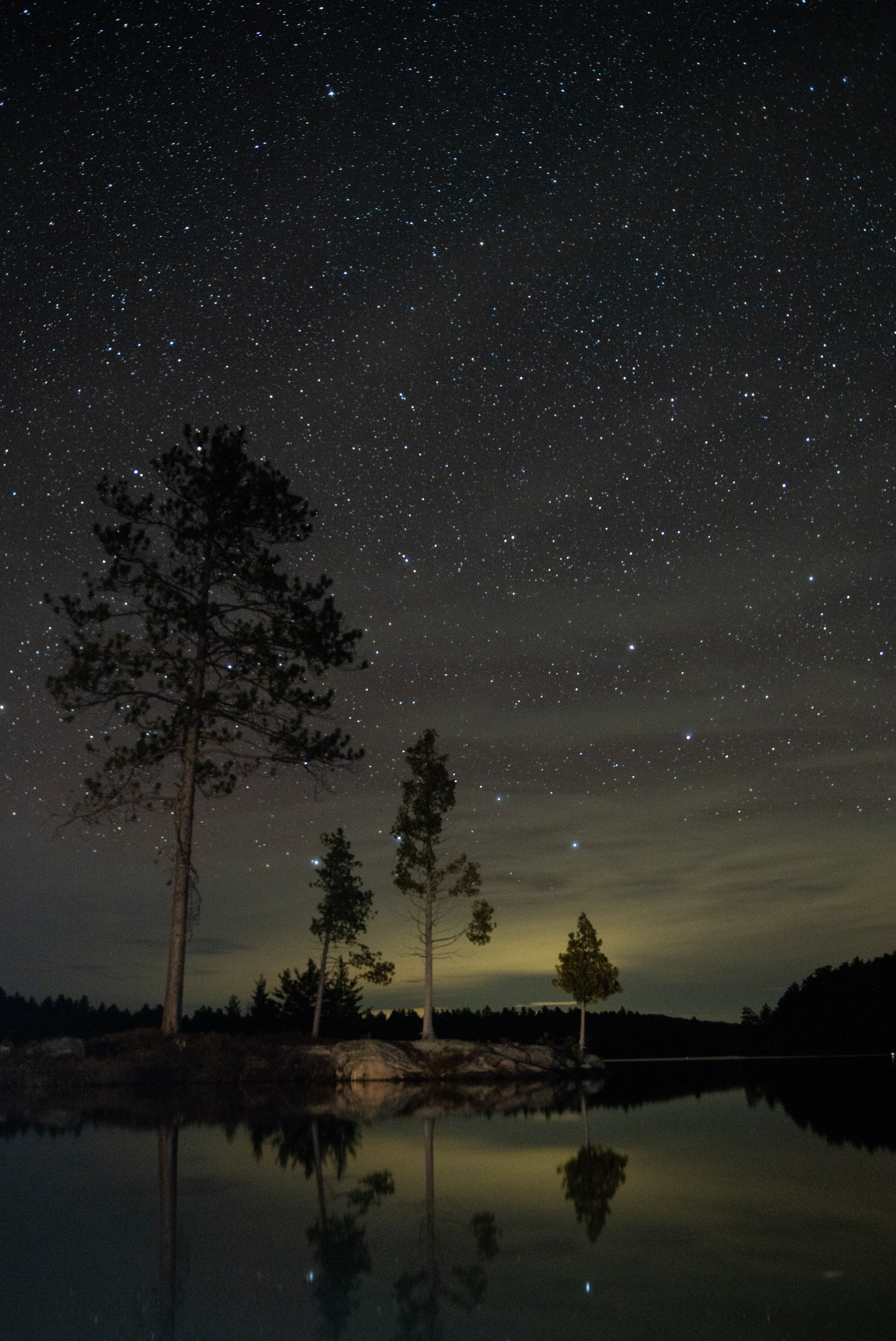 dark, trees, night, lake, starry sky 4K