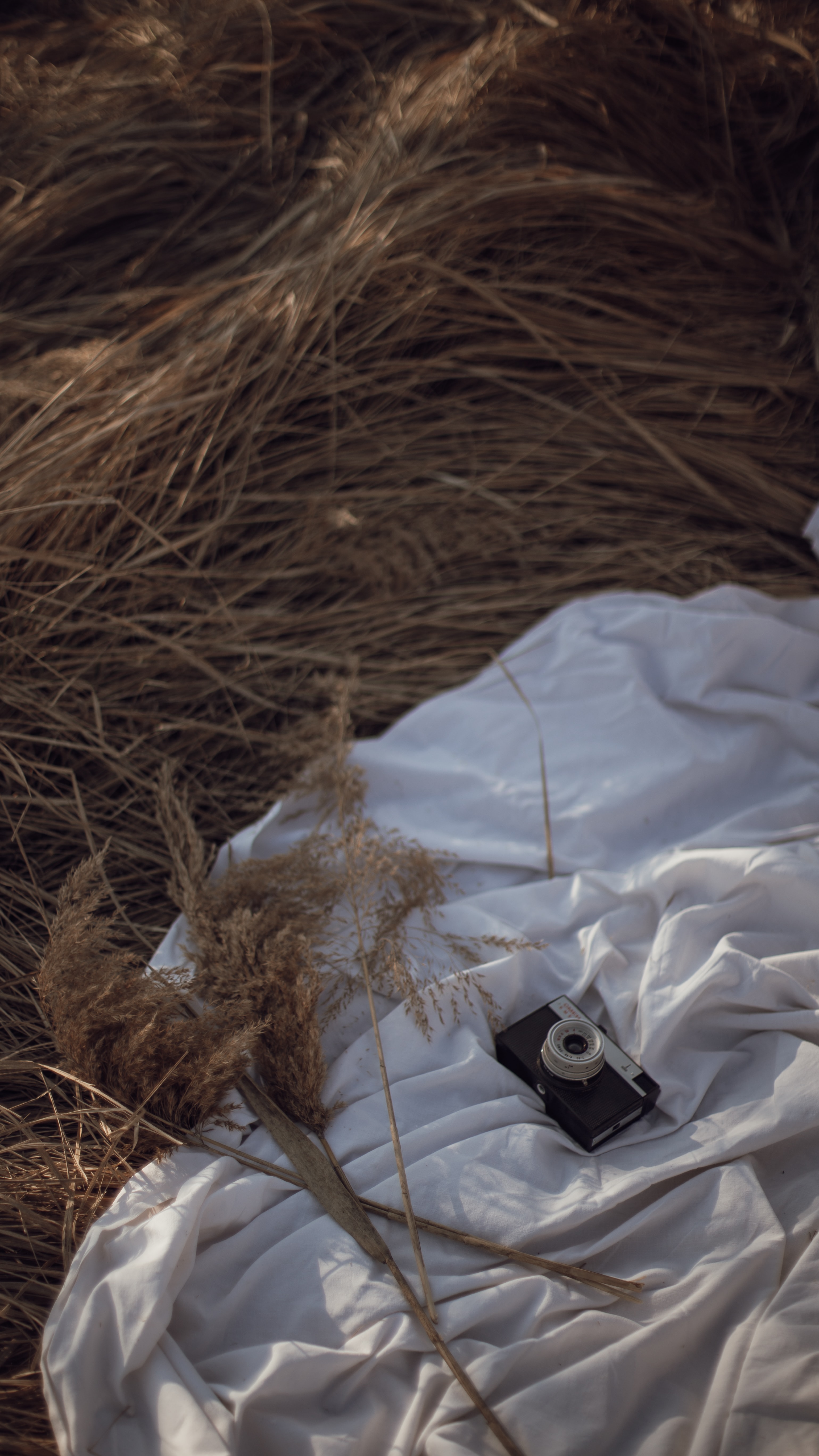 grass, camera, miscellaneous, cloth Full HD