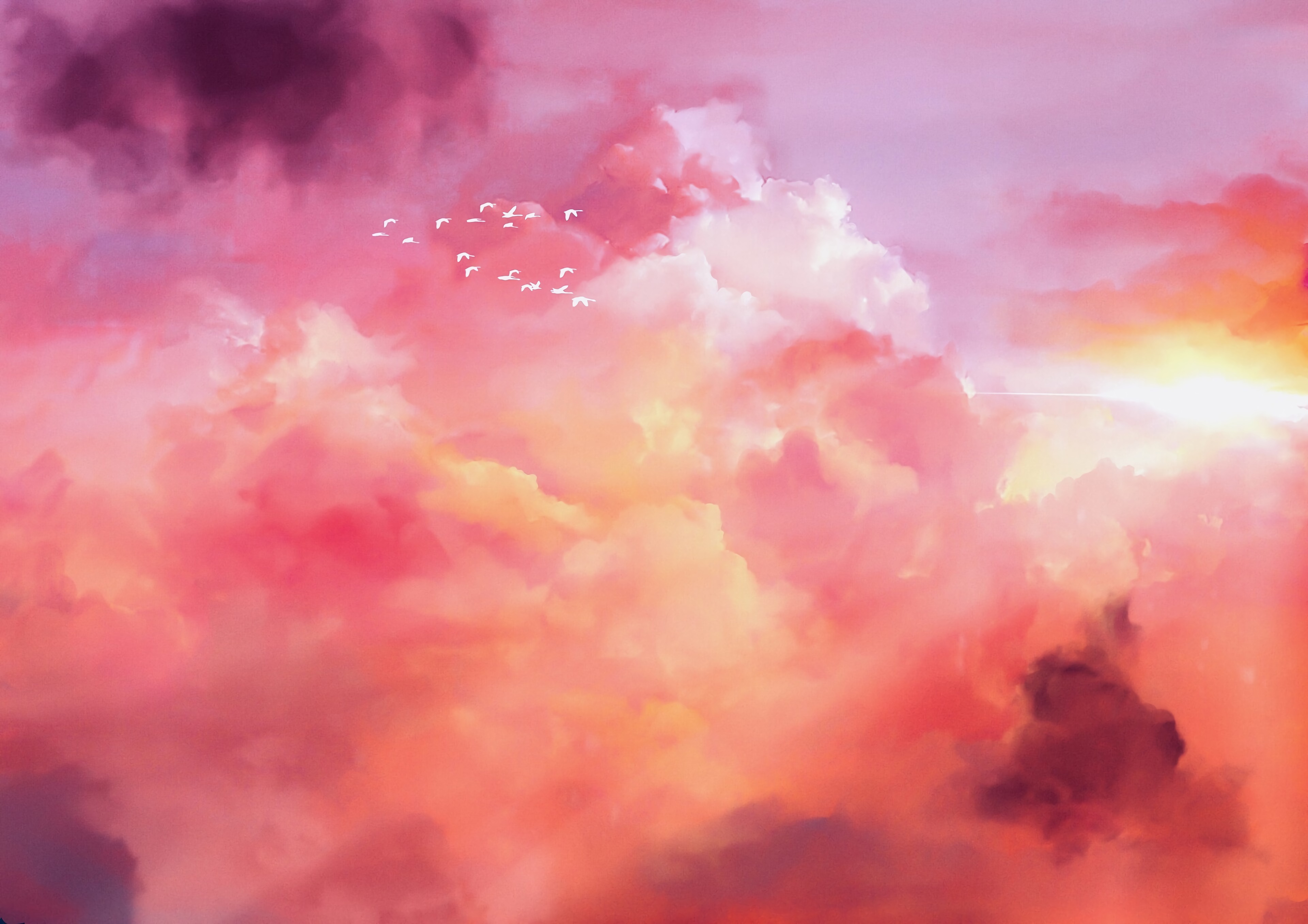 Desktop HD wallpaper: Birds, Sky, Art, Pink, Flock free download background picture #58644.