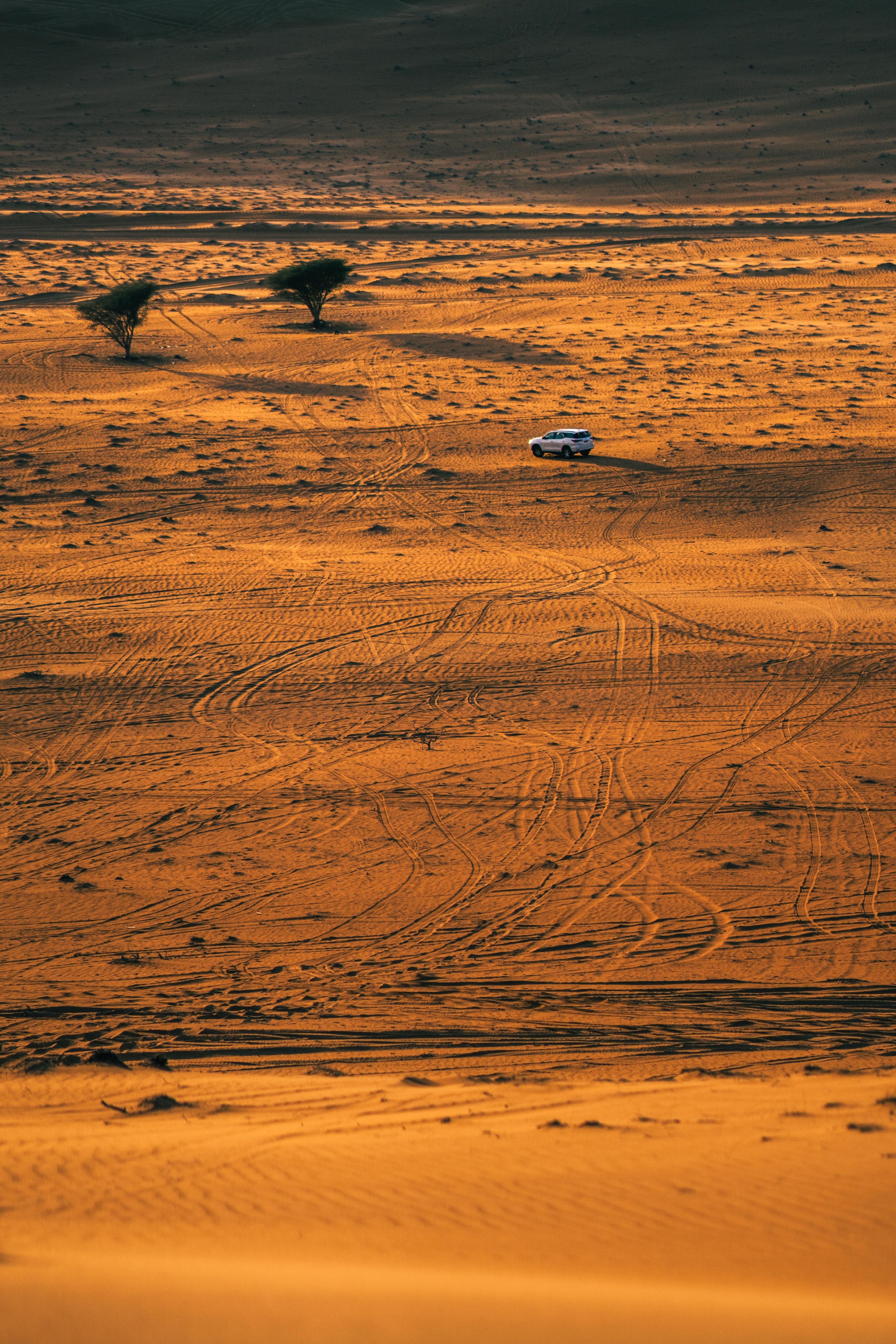 desert, nature, sand, cars, view from above, car, machine