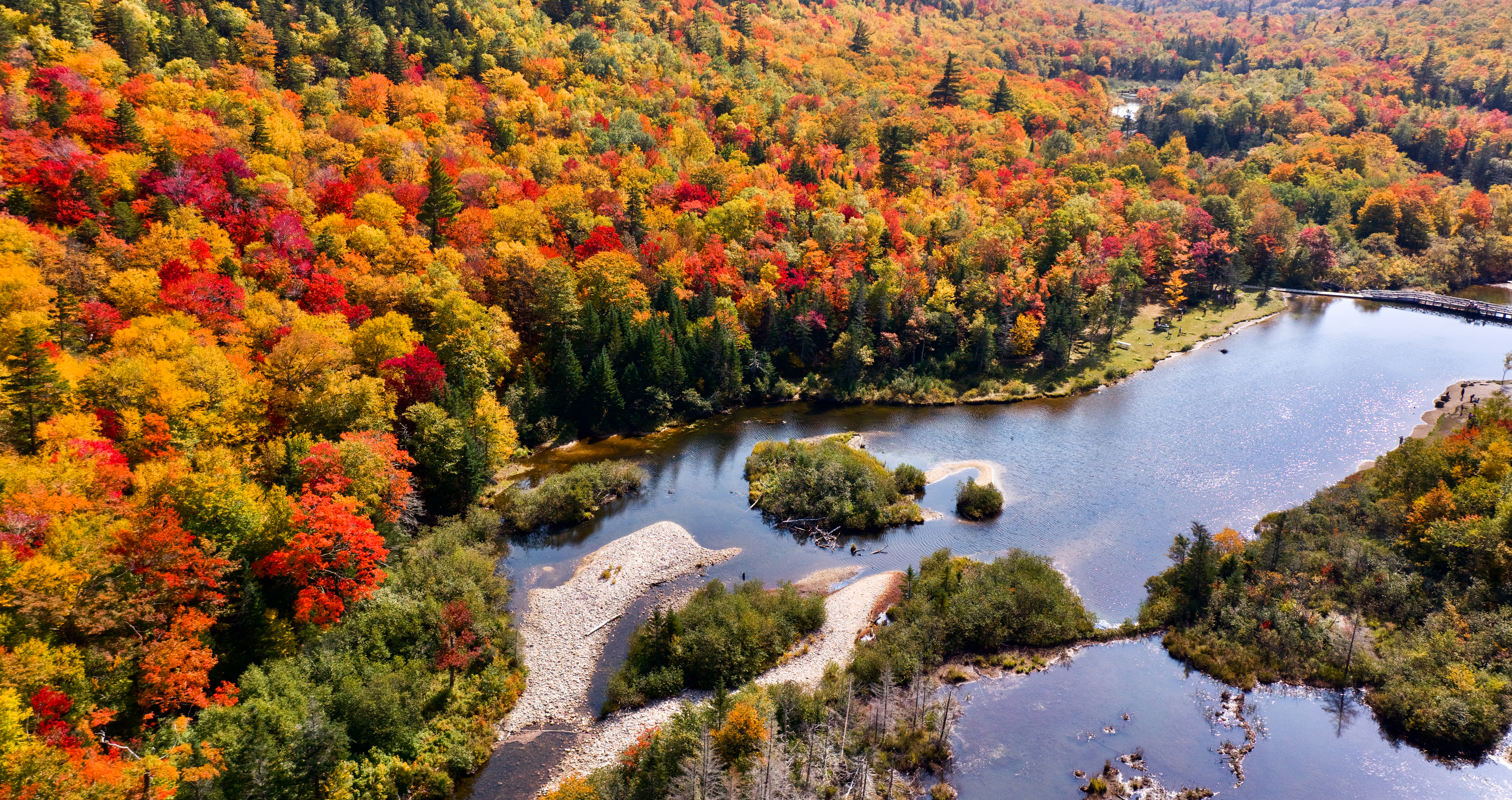 nature, rivers, autumn, view from above, forest, islands Smartphone Background