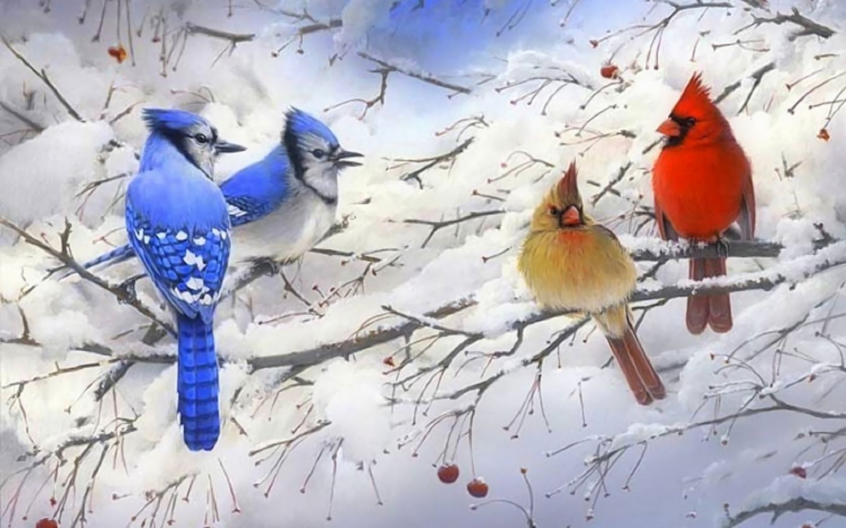 1500360 免費下載壁紙 动物, 鸟, 蓝松鸦, 分支, 红衣主教, 雪, 冬天 屏保和圖片