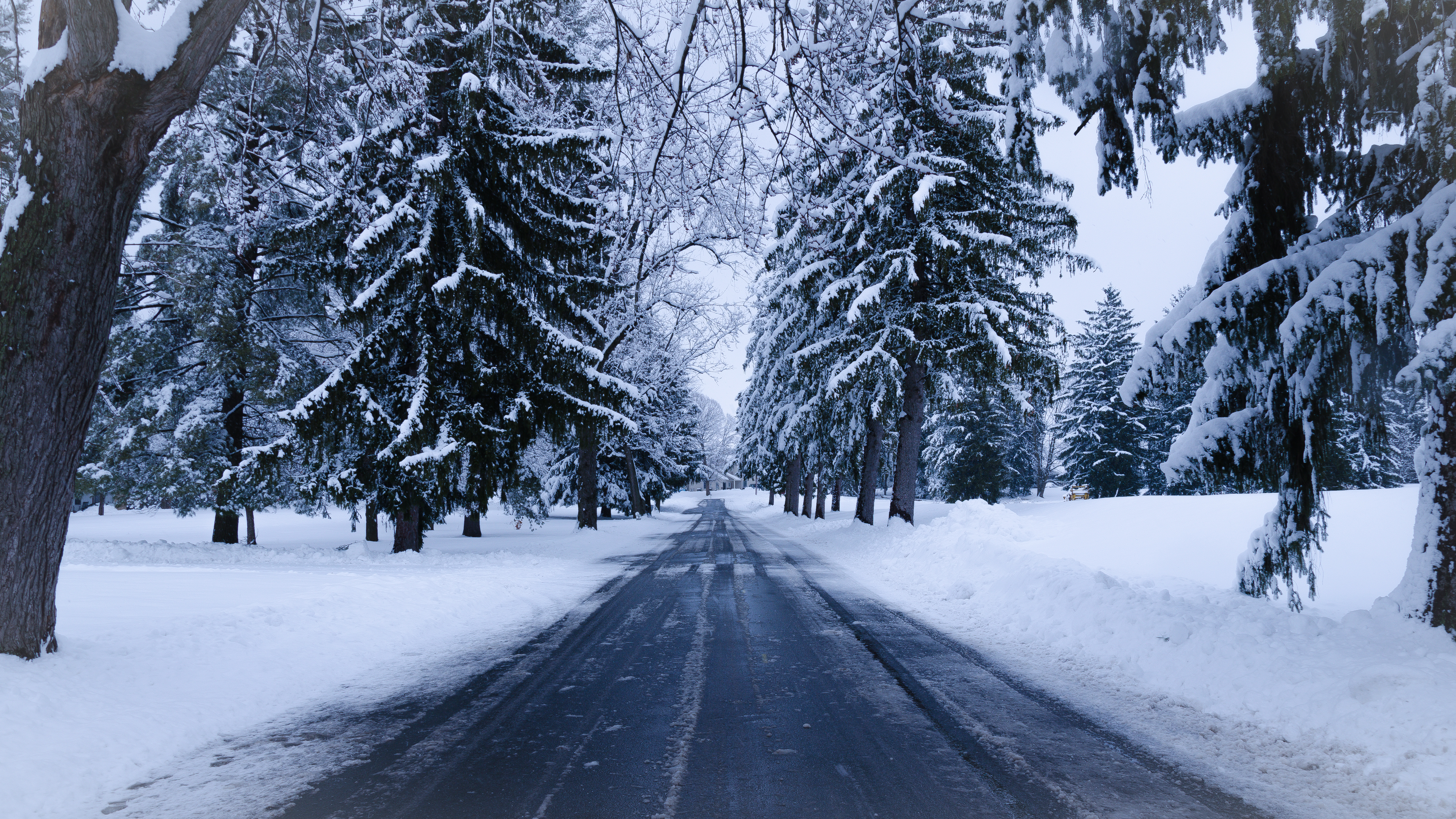 road, winter, nature, trees, snow, winter landscape for android