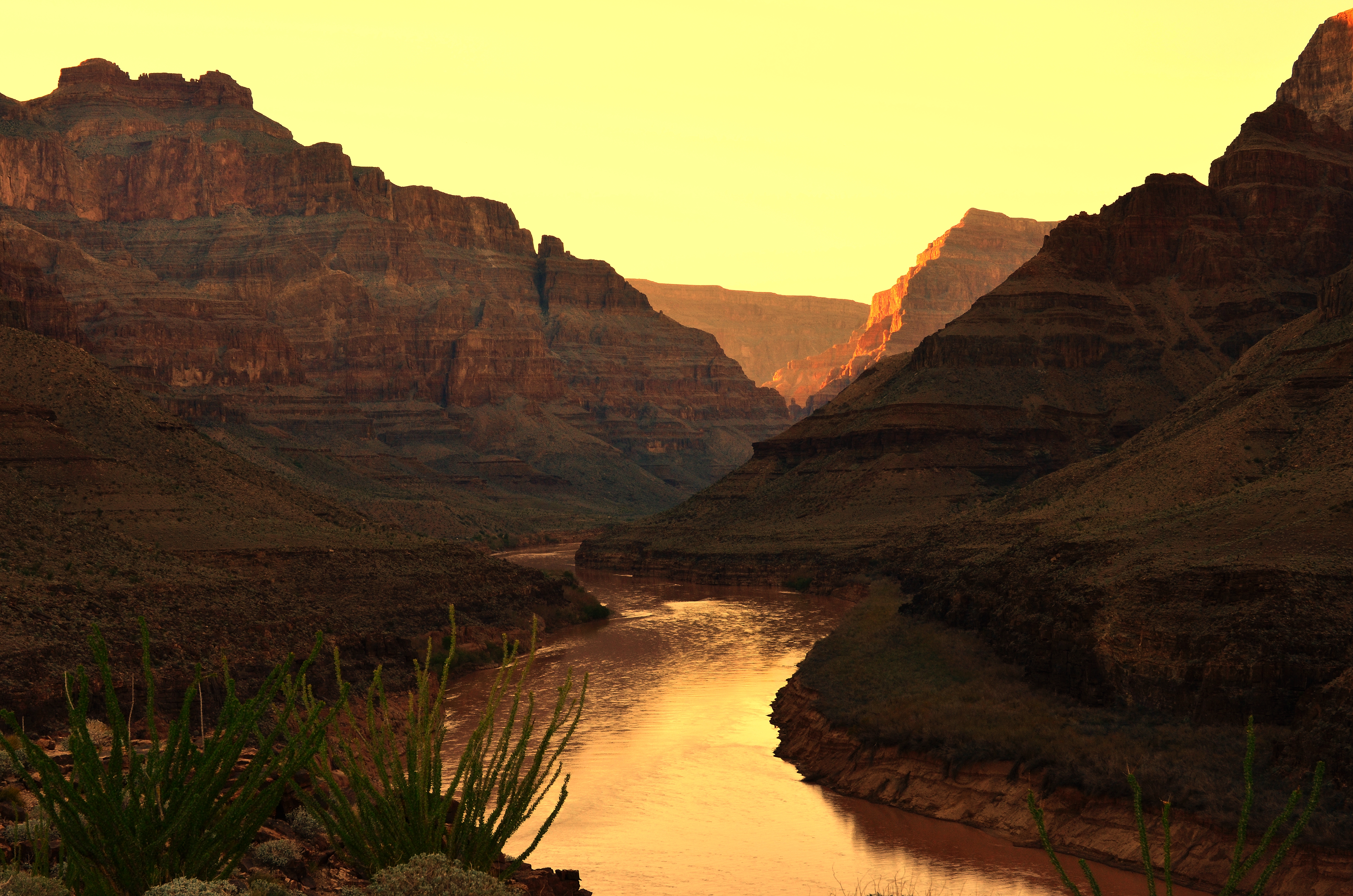 canyon, plants, nature, rivers, sunset, rocks