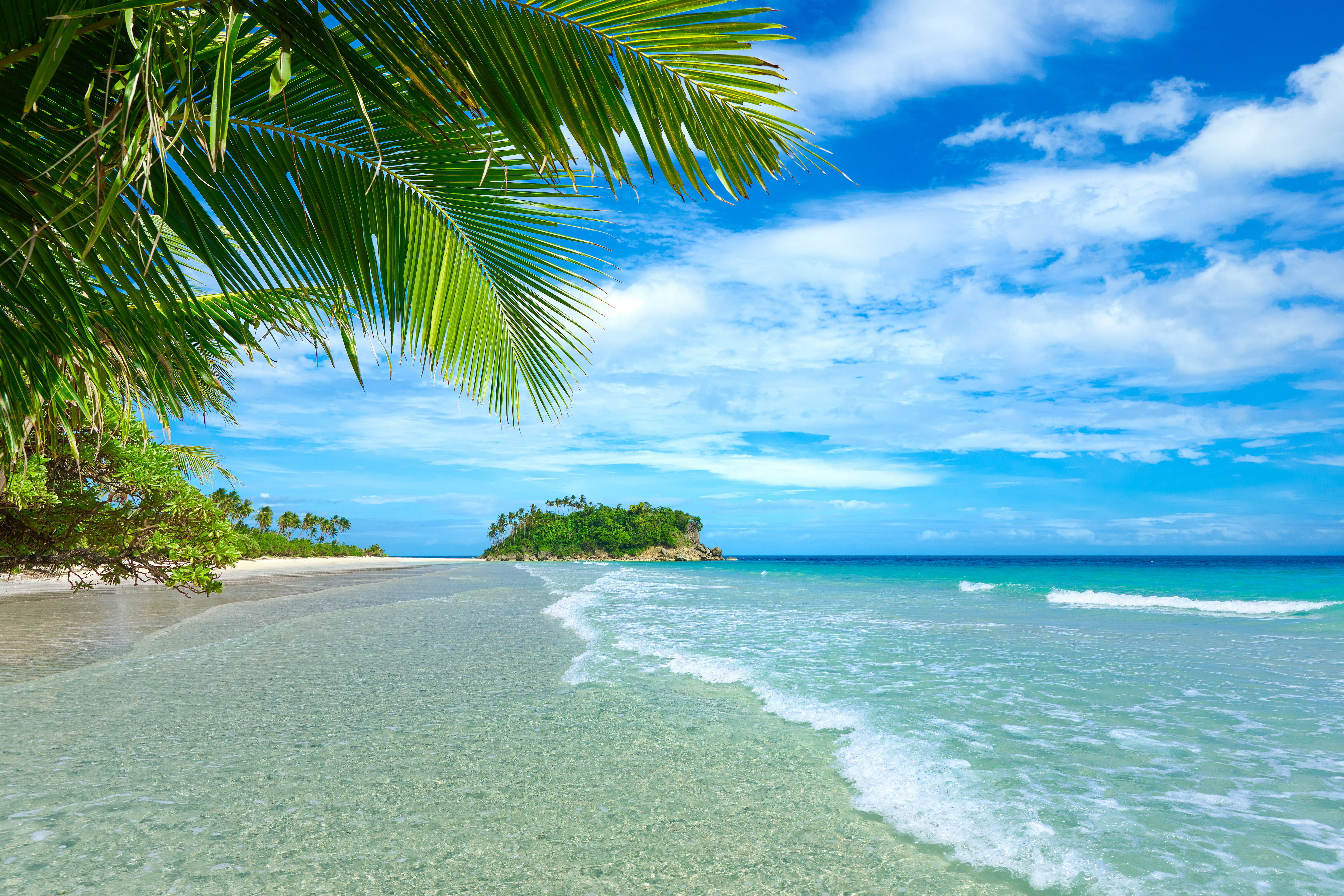 HD for desktop 1080p Horizon palm tree, ocean, earth, tropical