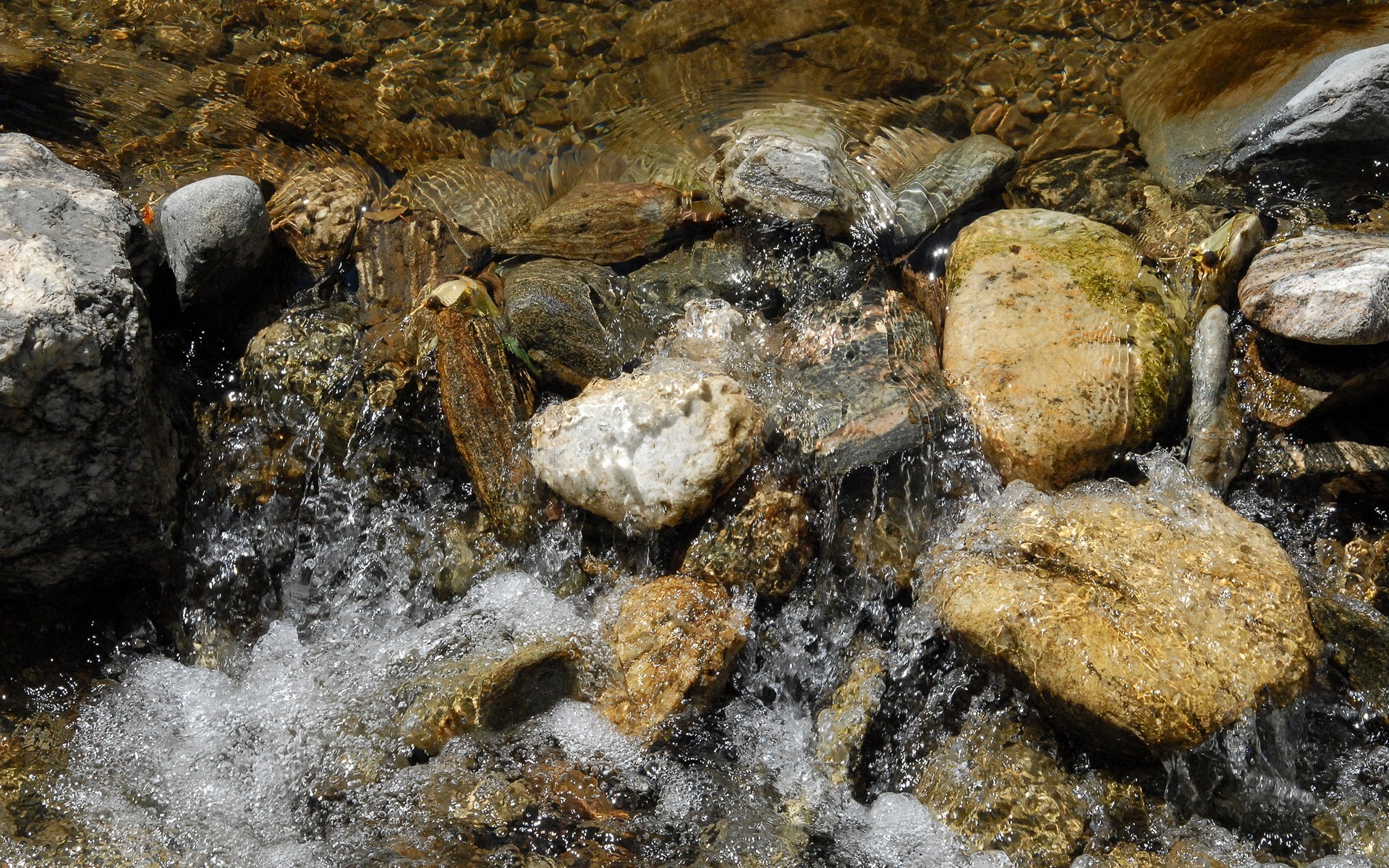 earth, stone, creek, pebbles, photography, stream, water