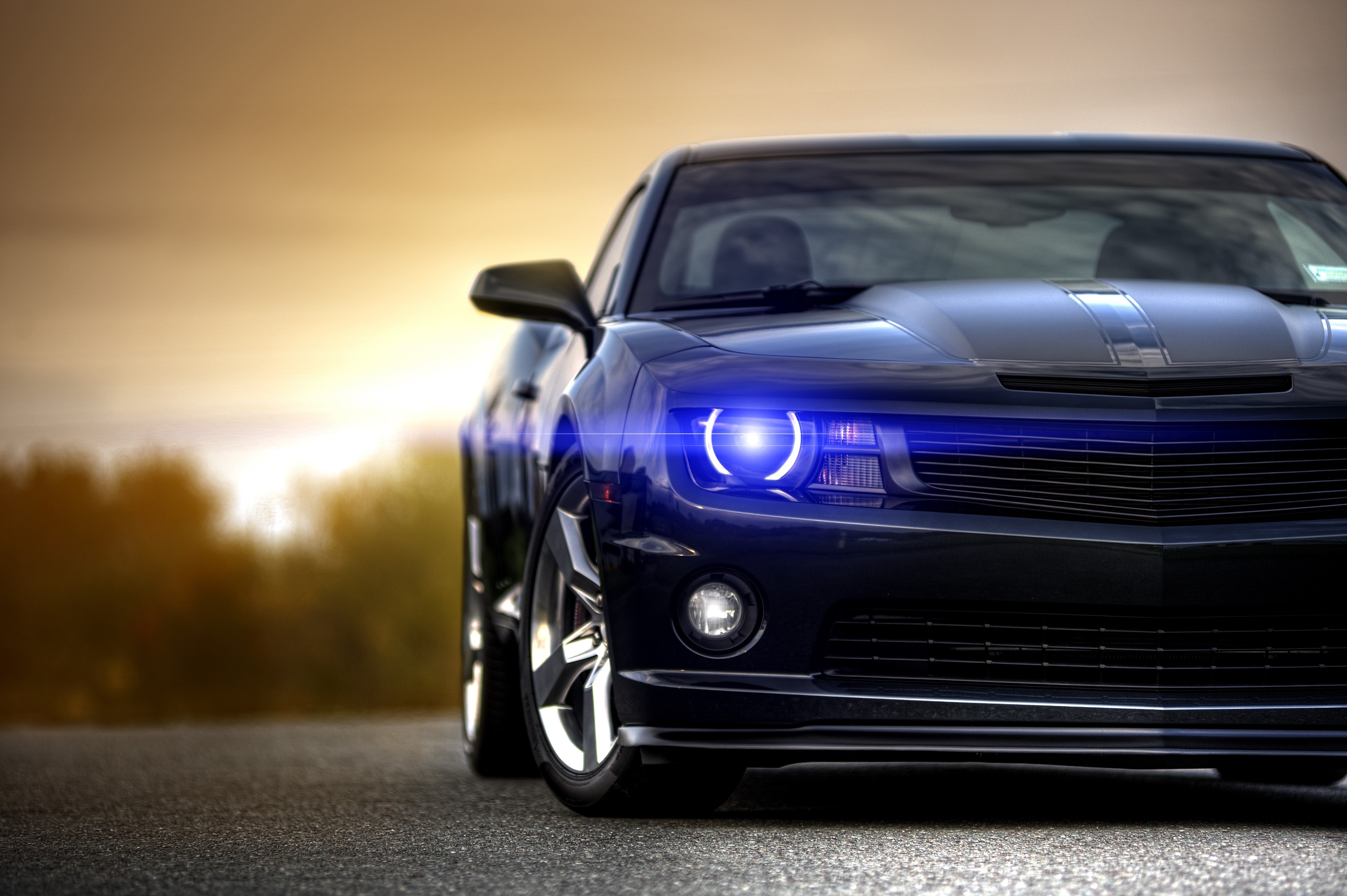Muscle Car Widescreen image