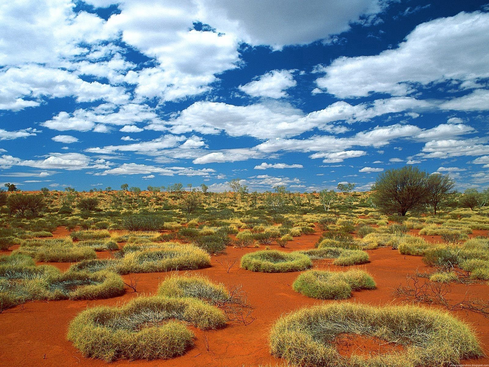 55552 Hintergrundbild herunterladen natur, sky, clouds, sand, vegetation, australien - Bildschirmschoner und Bilder kostenlos