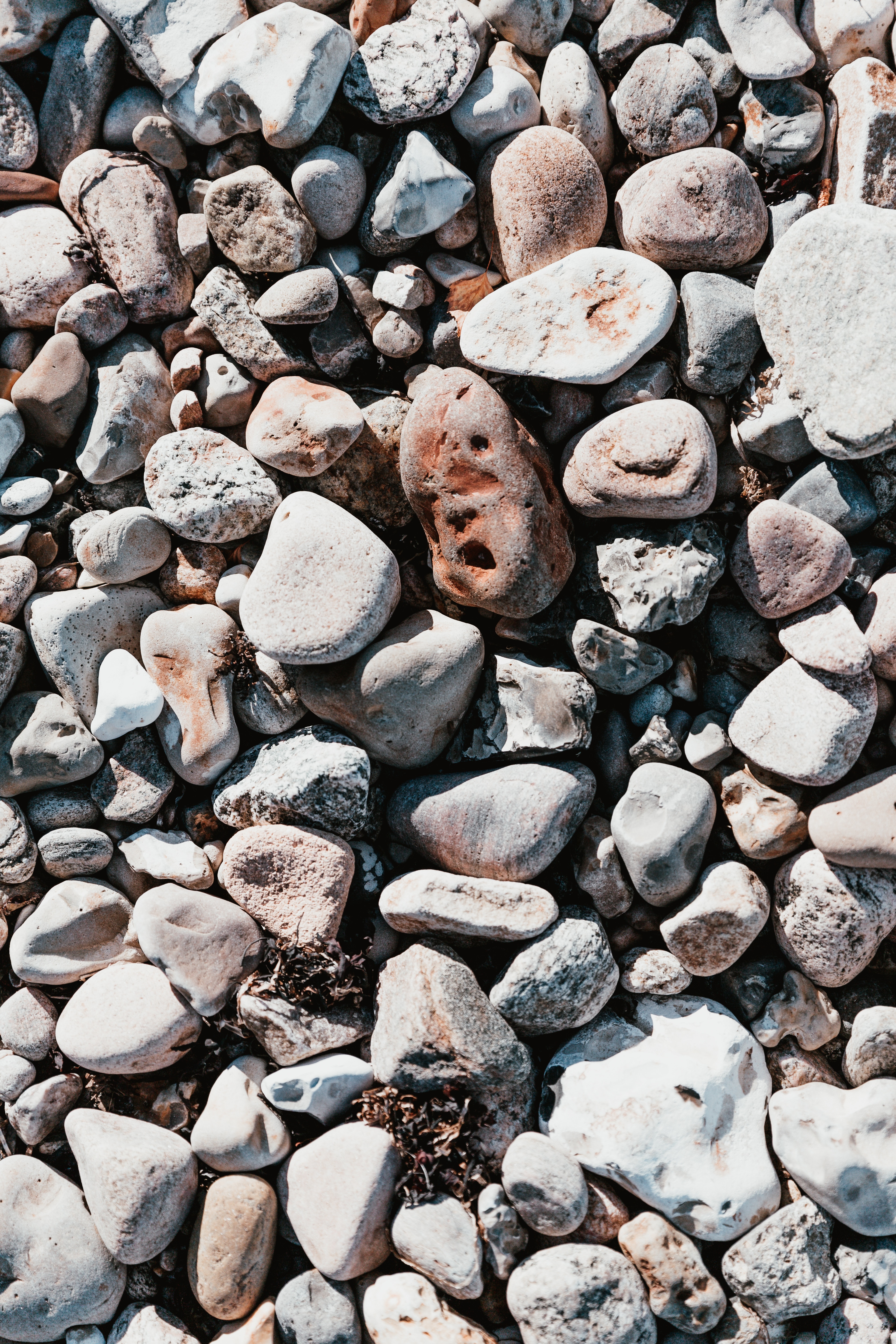 HD photos seastones, nature, sea stones, form