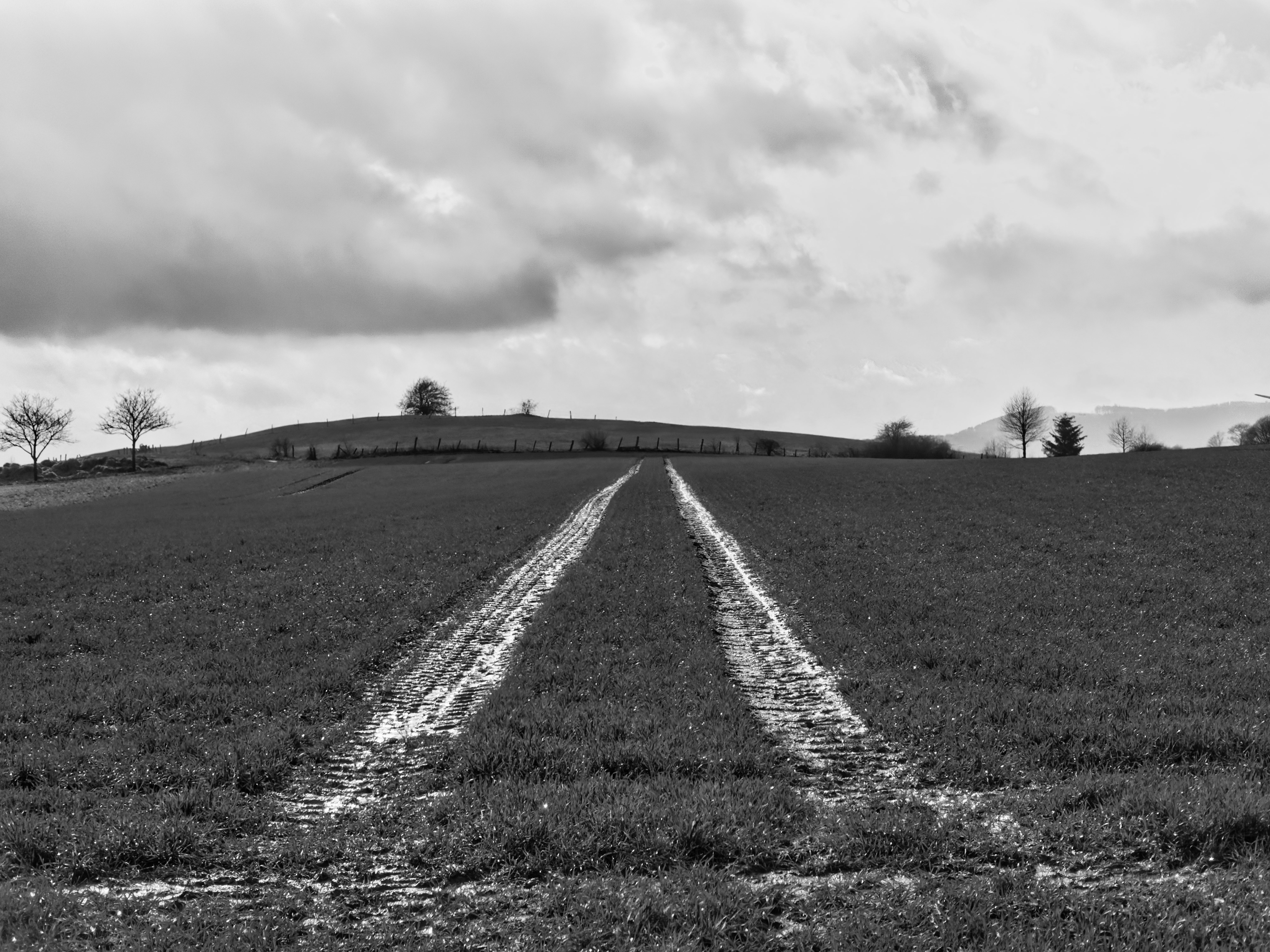 black and white, track, nature, field, stripes, streaks, trace