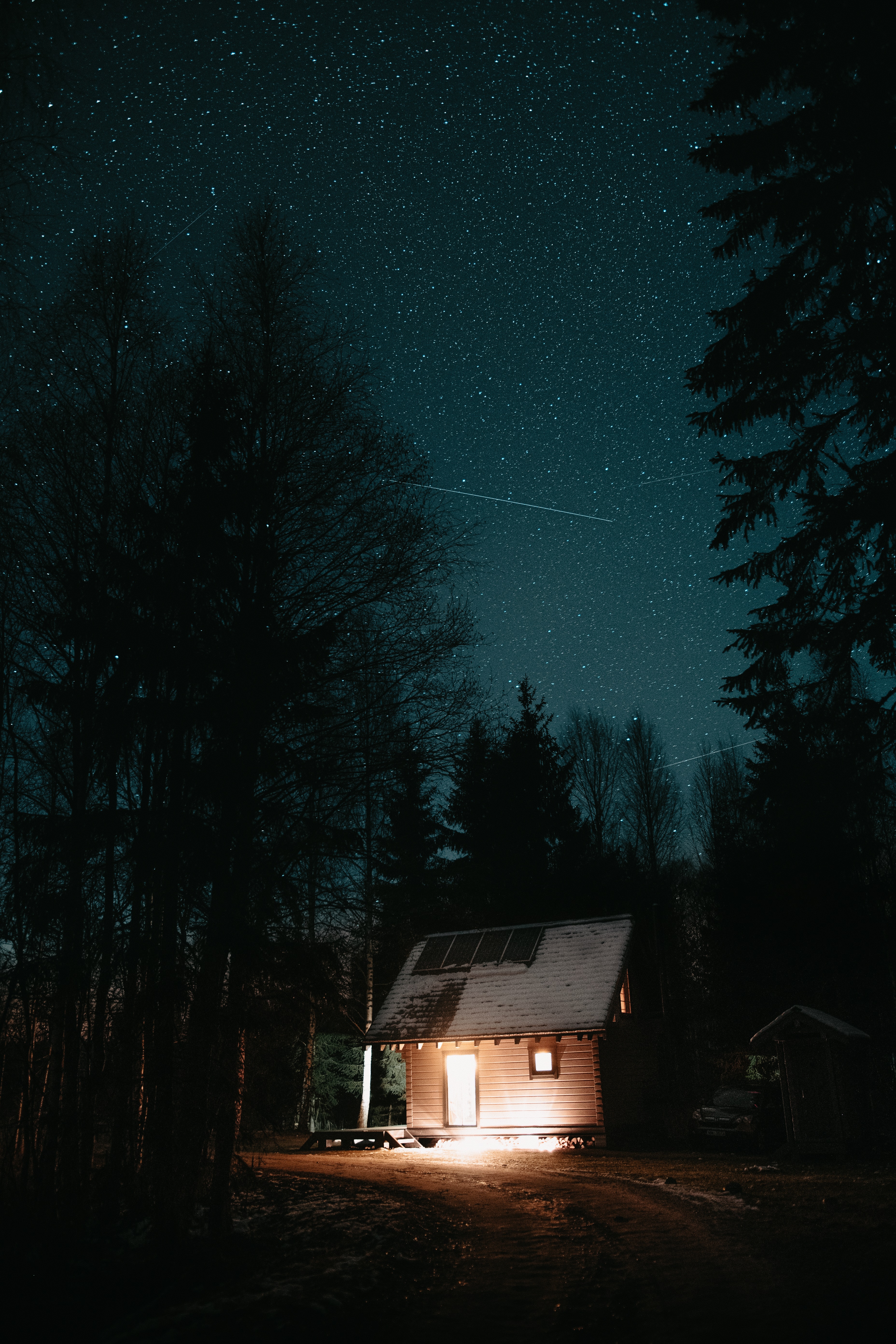 night, darkness, trees, dark, shine, light, starry sky, house Free Stock Photo