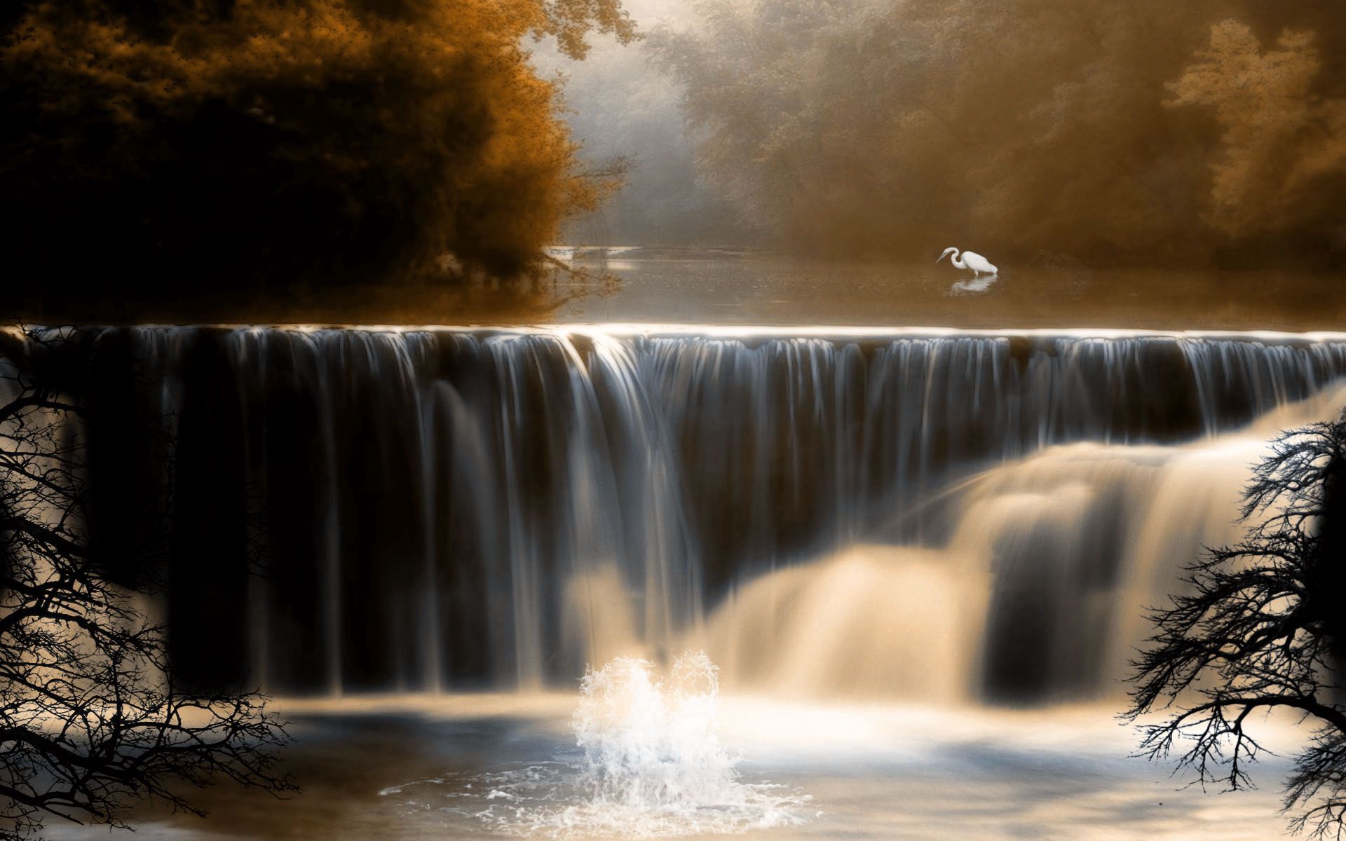 62649 download wallpaper bird, nature, water, trees, waterfall, crane screensavers and pictures for free